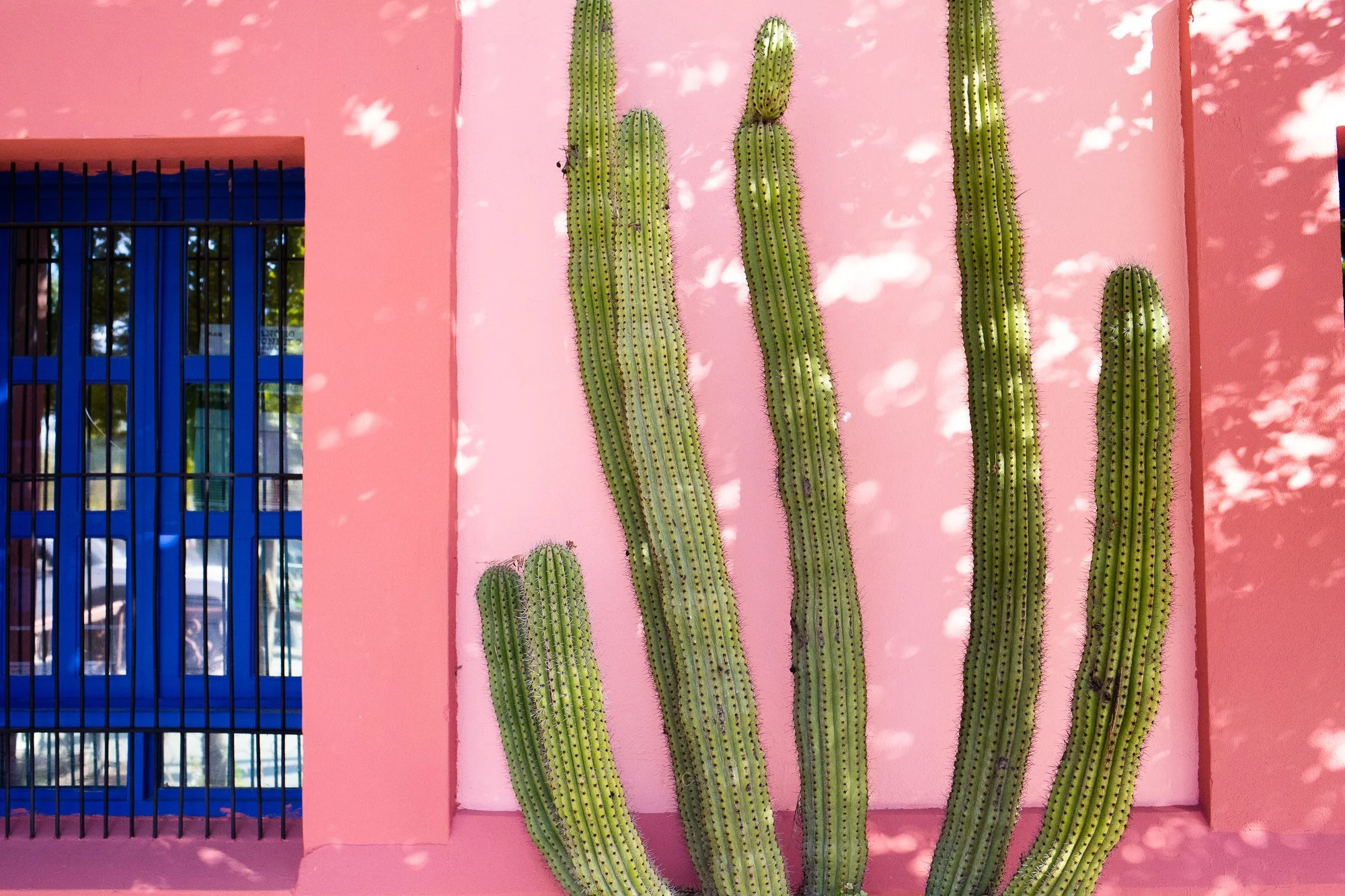 We want to hear from you