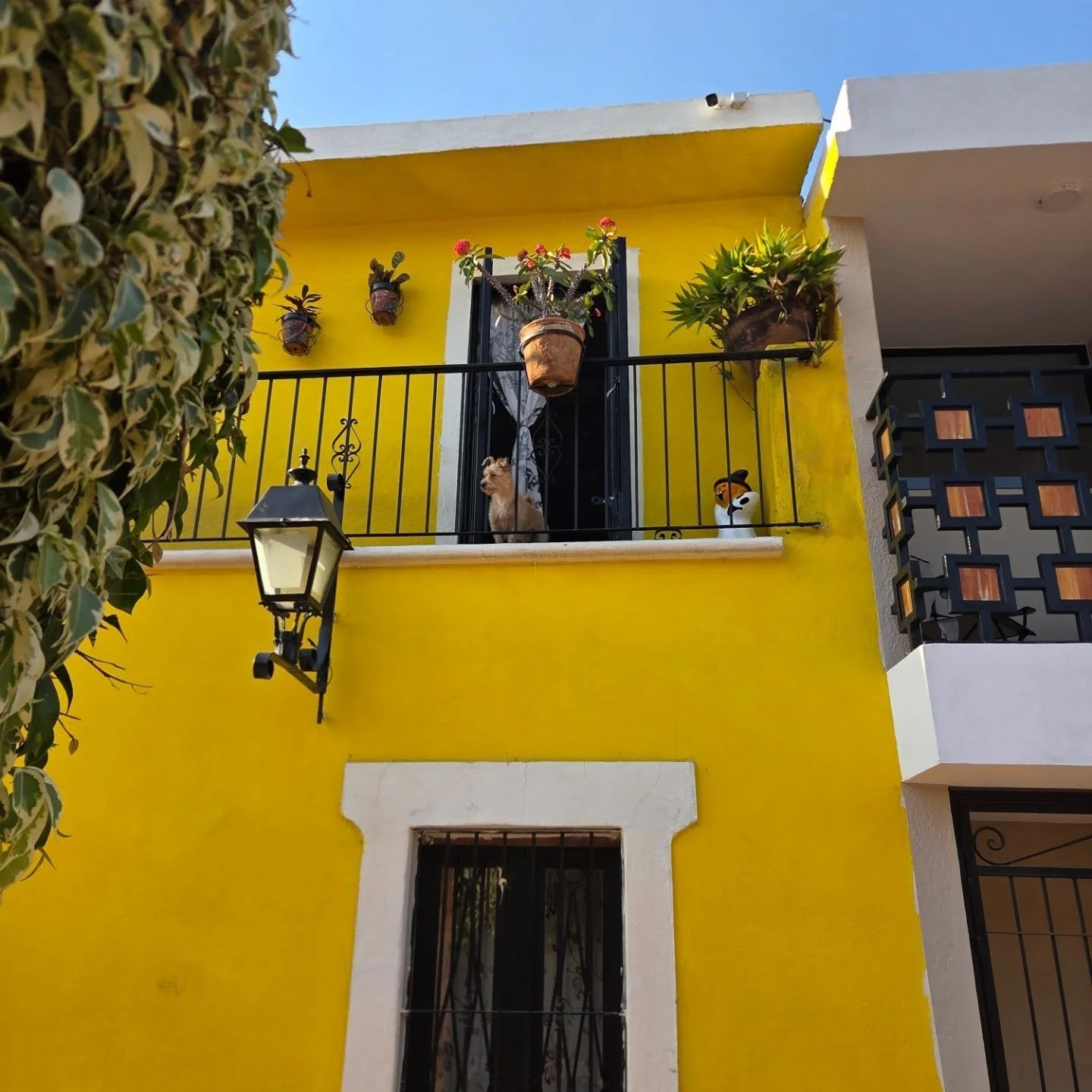 borderlandia_queretaro2.jpg