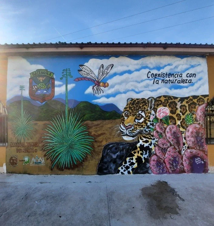 Newsletter Education Mural Union Ganadera en Bacanora.jpg