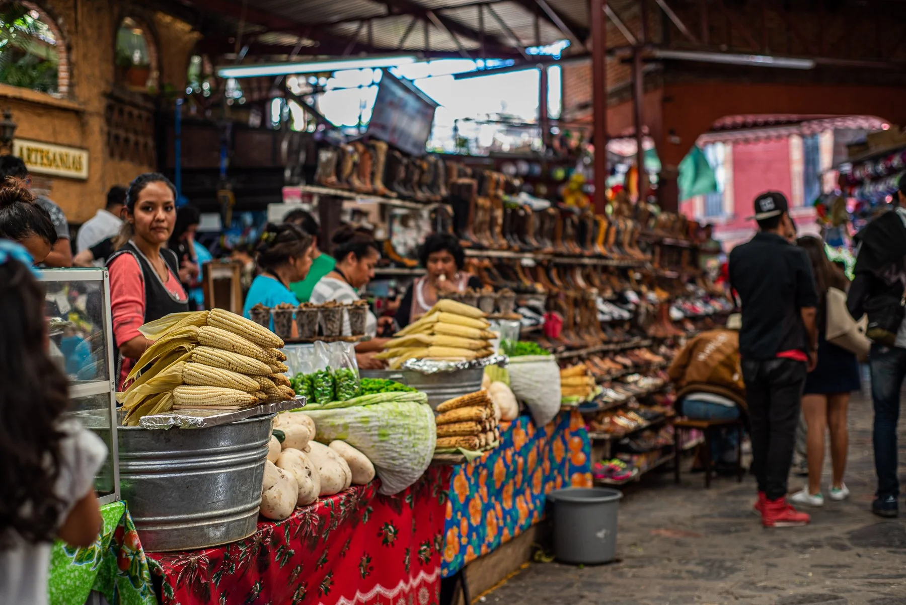 borderlandia_SanMiguel_Allende-15.jpg