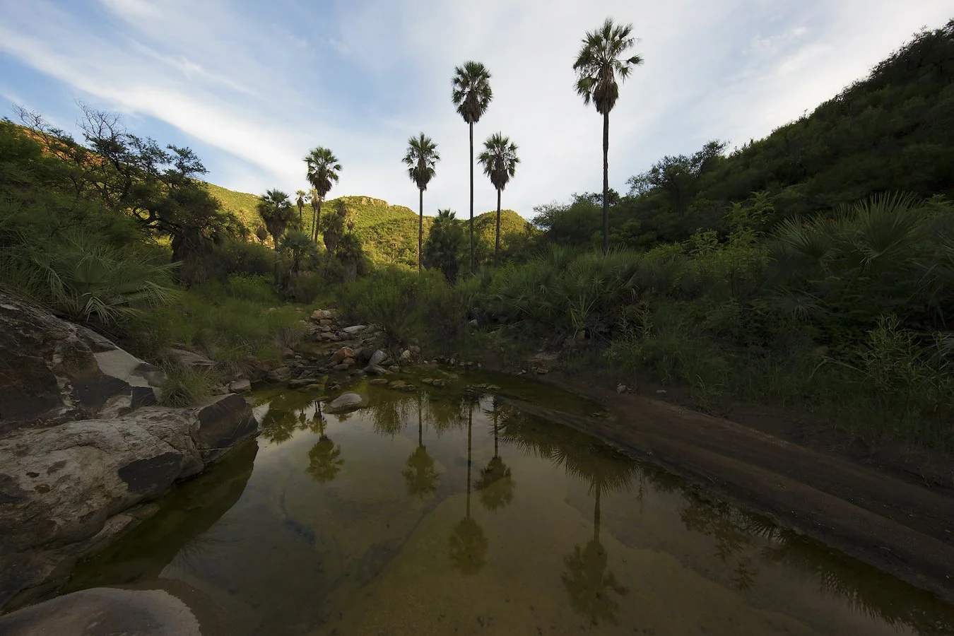 Landscape-268A0161.jpg