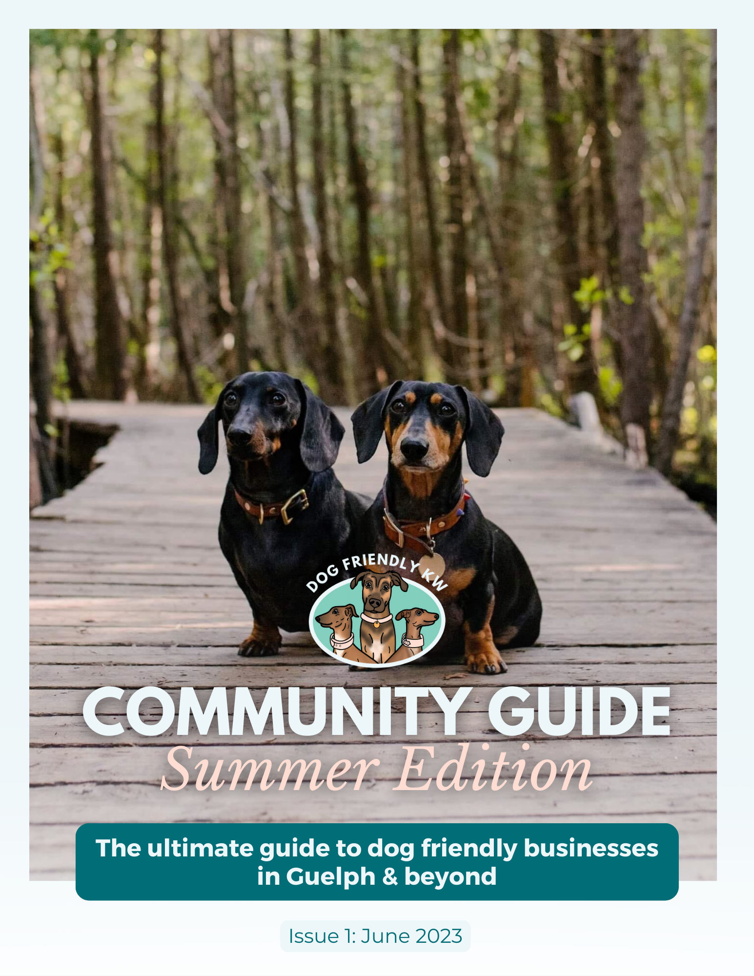 2023.6 - Guelph Community Guide.png