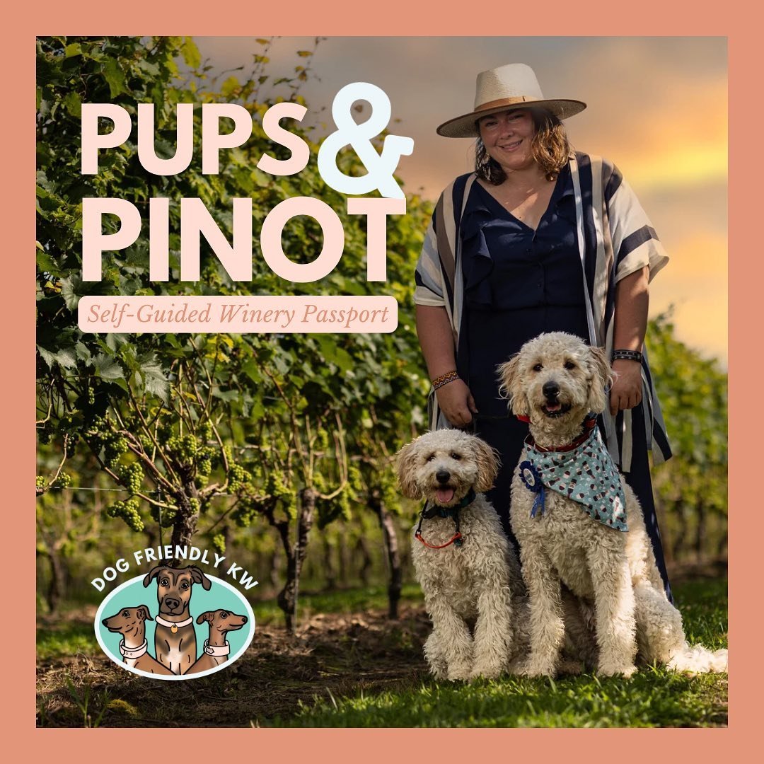 Pups &amp; Pinot Passports are officially for sale on our website! (Link in Bio) 

🍷 4 passport options to suit your needs and budget 

🍷Available for use May 1 - Oct 31, 2024

🍷 Tastings at Wineries across FIVE Ontario wine regions! Niagara on th