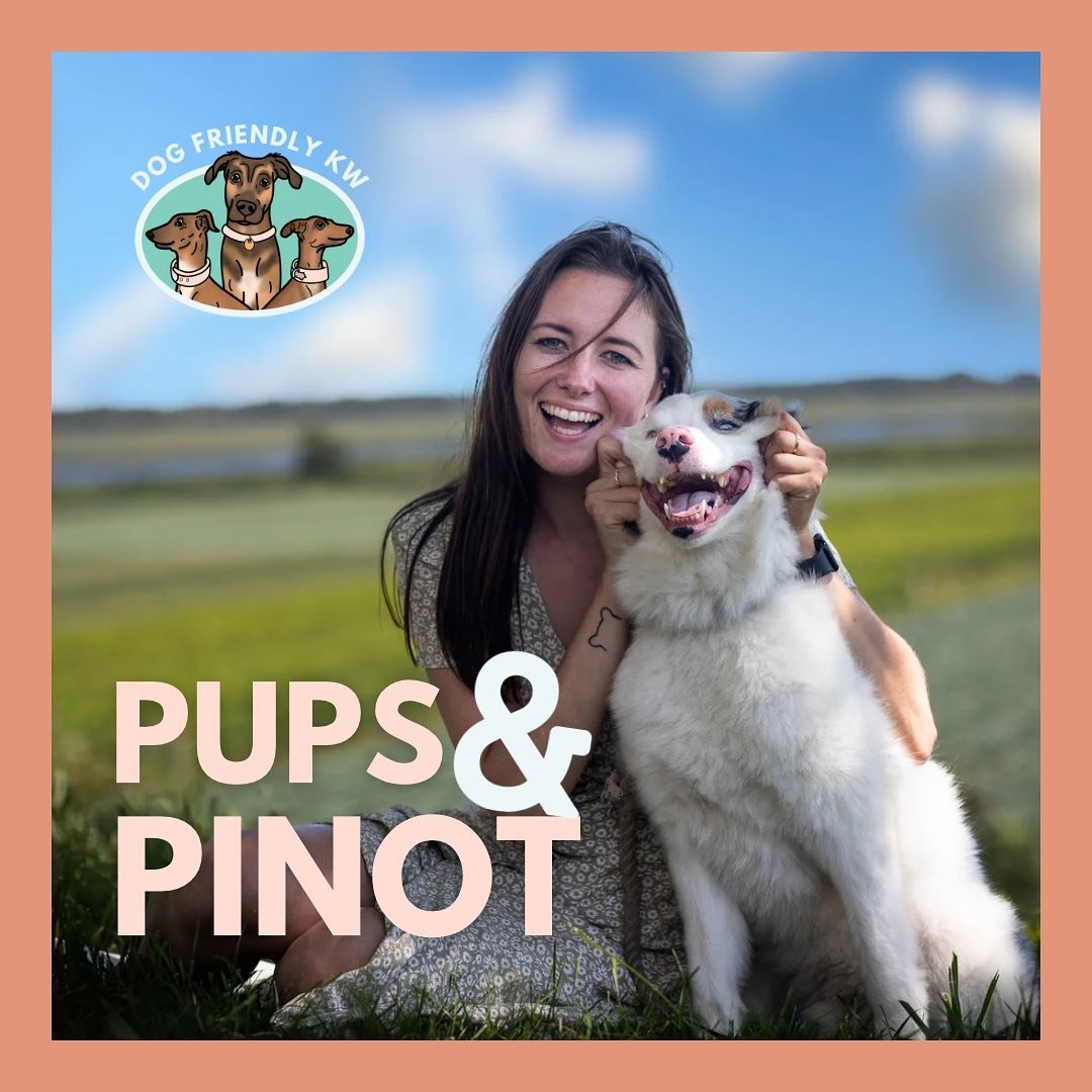 Today is the day! You can start using your Pups &amp; Pinot passports NOW until October 31, 2024! 

Don&rsquo;t have your passport yet? Don&rsquo;t worry! Check out our pricing tiers and head to dogfriendlykw.com/pinotpups2024 to purchase.⁠ (link in 