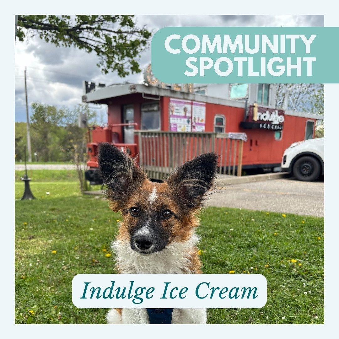 What better way to beat the heat than with your favourite treat from @indulgeicecreamz ! Choose from the variety of flavours and toppings, and put it all on a freshly made waffle cone to enjoy.

 The best part about Indulge (besides their amazing ice