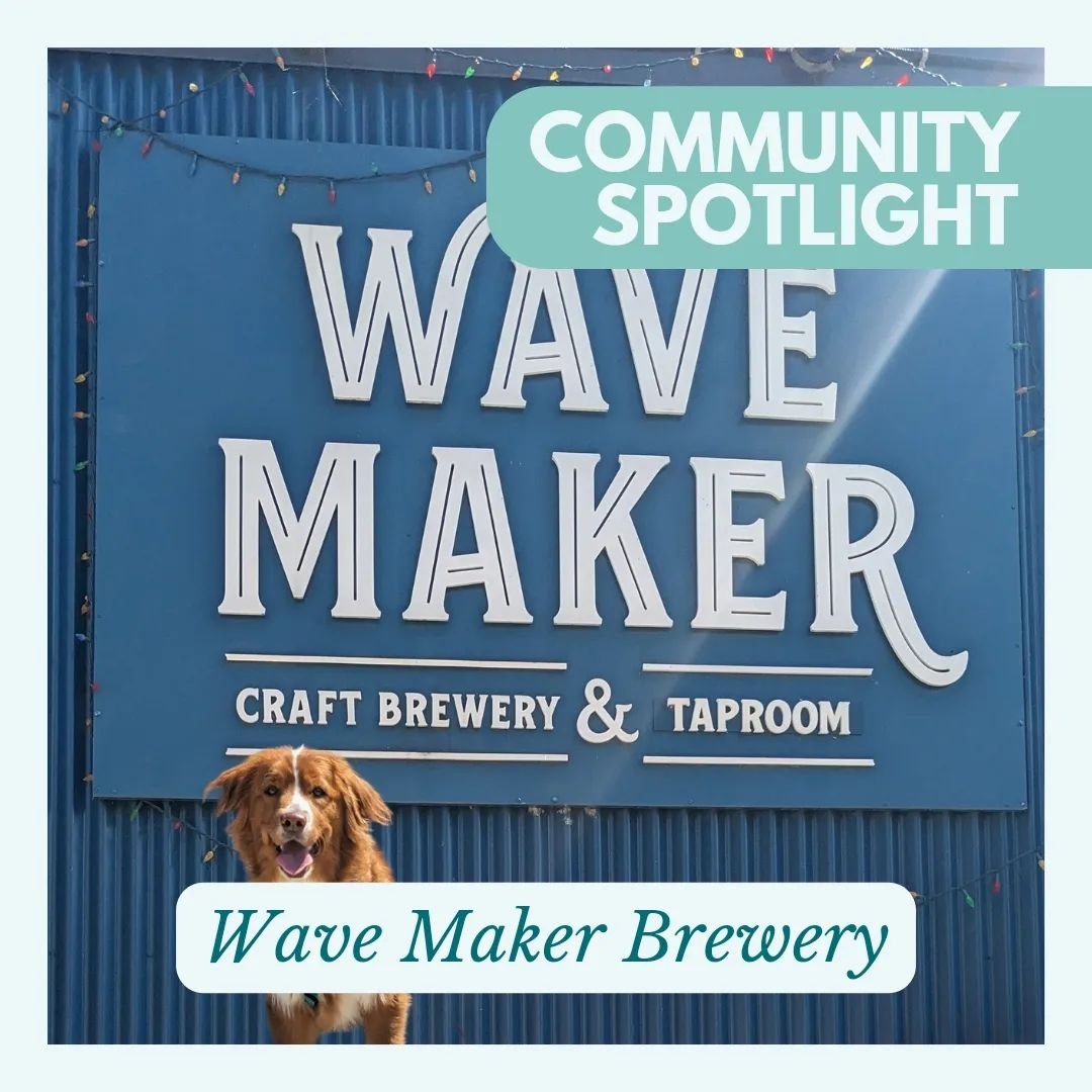 Cambridge is repping another Community Spotlight! @wavemakerbrew is the perfect spot for a cool drink on a hot day. Sprinkle in some cool events like karaoke, open mic, live music, occasional markets and a food truck feature almost every week, and yo