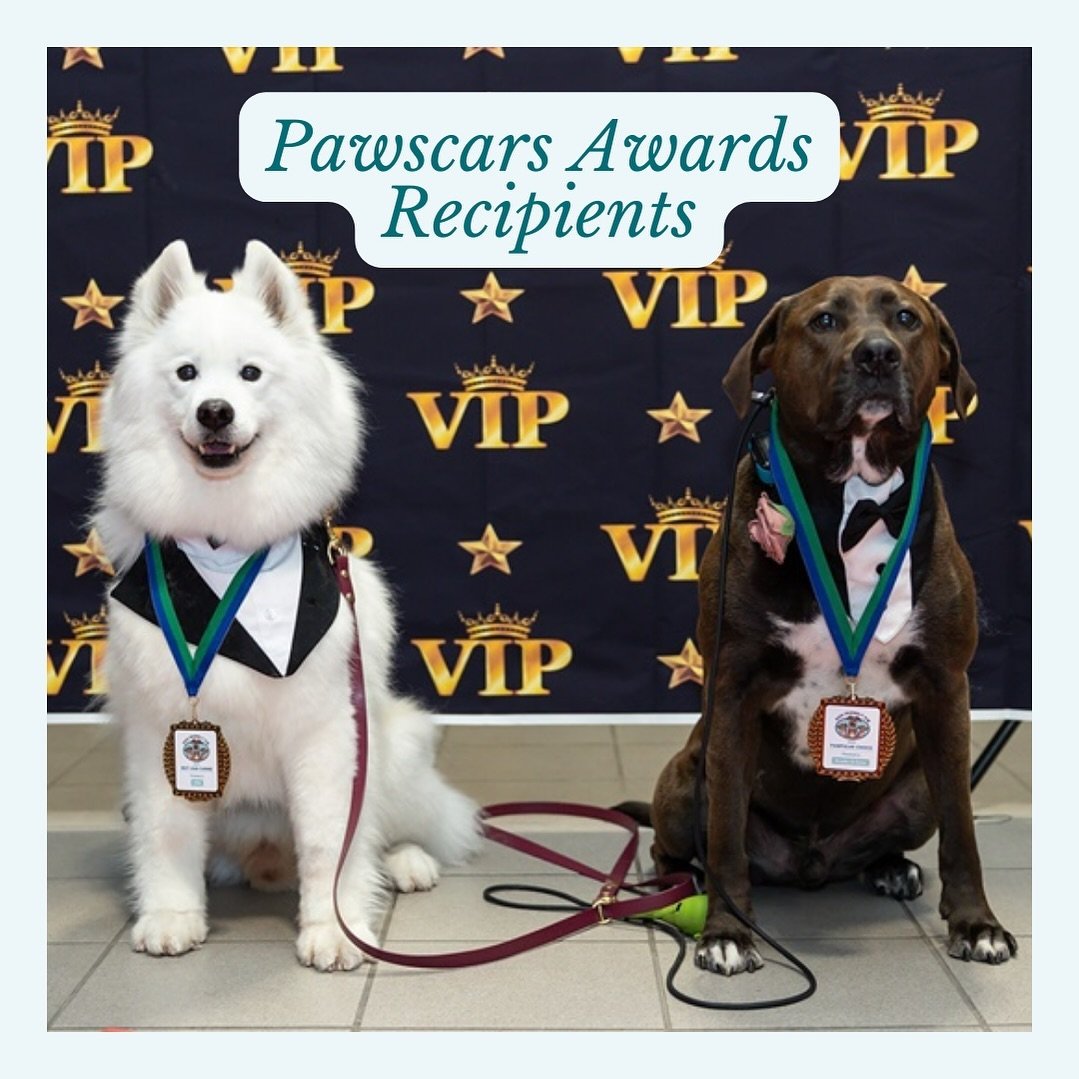 as we prep to celebrate at the @kwo_woy Awards Night, we are still thinking about a few weeks ago when we celebrated our volunteers and all they do for Dog Friendly KW (and the broader community) at the 2024 PAWSCARS Volunteer Appreciation Night 😍

