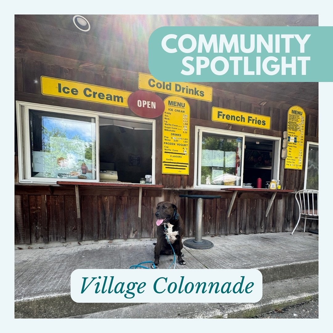 With the weather getting warmer, you and your pup should stop by the Village Colonnade in St. Jacobs!

This somewhat hidden gem has two buildings, one where they offer food such as burgers and ice cream, and another where they offer a variety of anti