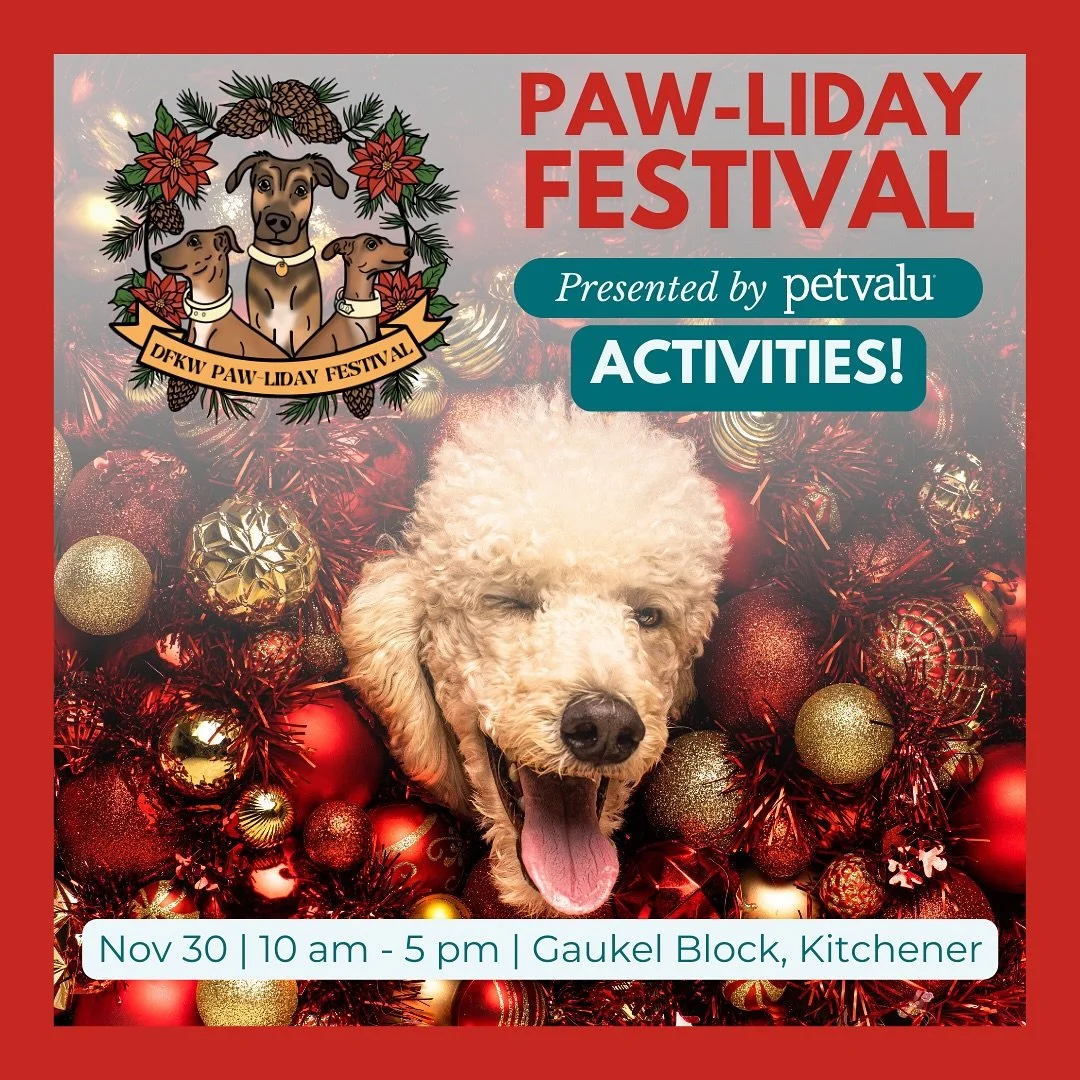 It&rsquo;s what a lot of you have been waiting for! Presenting our activity lineup for the 2024 Pawliday Festival presented by @petvalu 

From free workshops to competitions and craft activities. Amazing speakers, an animal communicator and photo ops