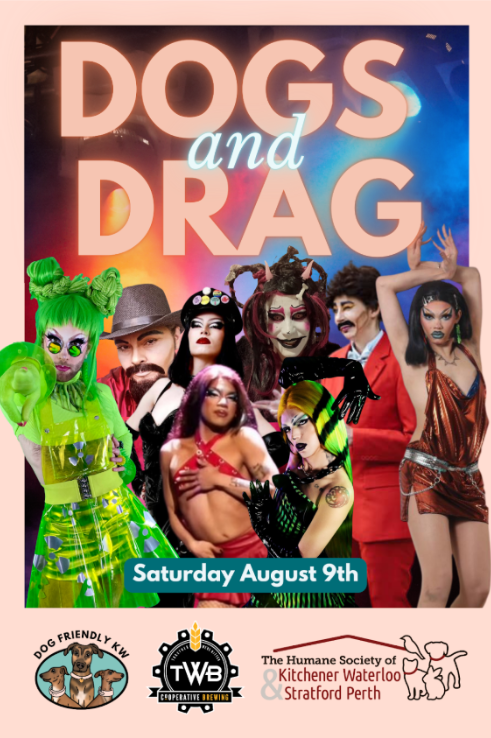 Dogs and Drag