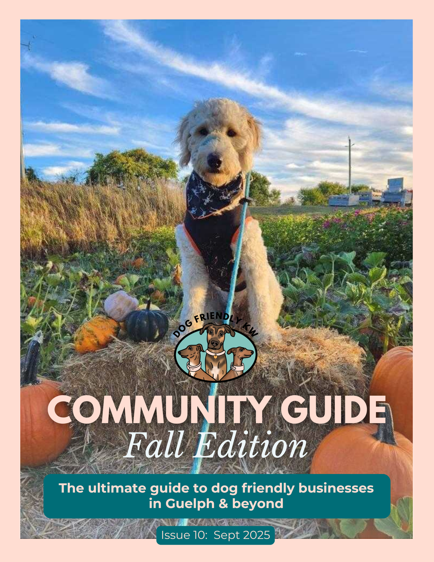 Community Guides — DOG FRIENDLY KW