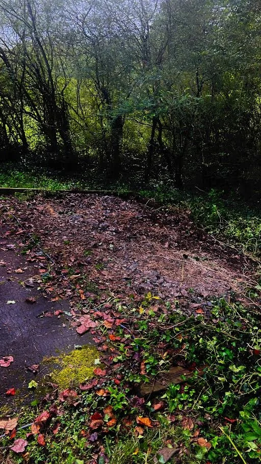 After: Flooring Debris Removed in Gainesville, GA