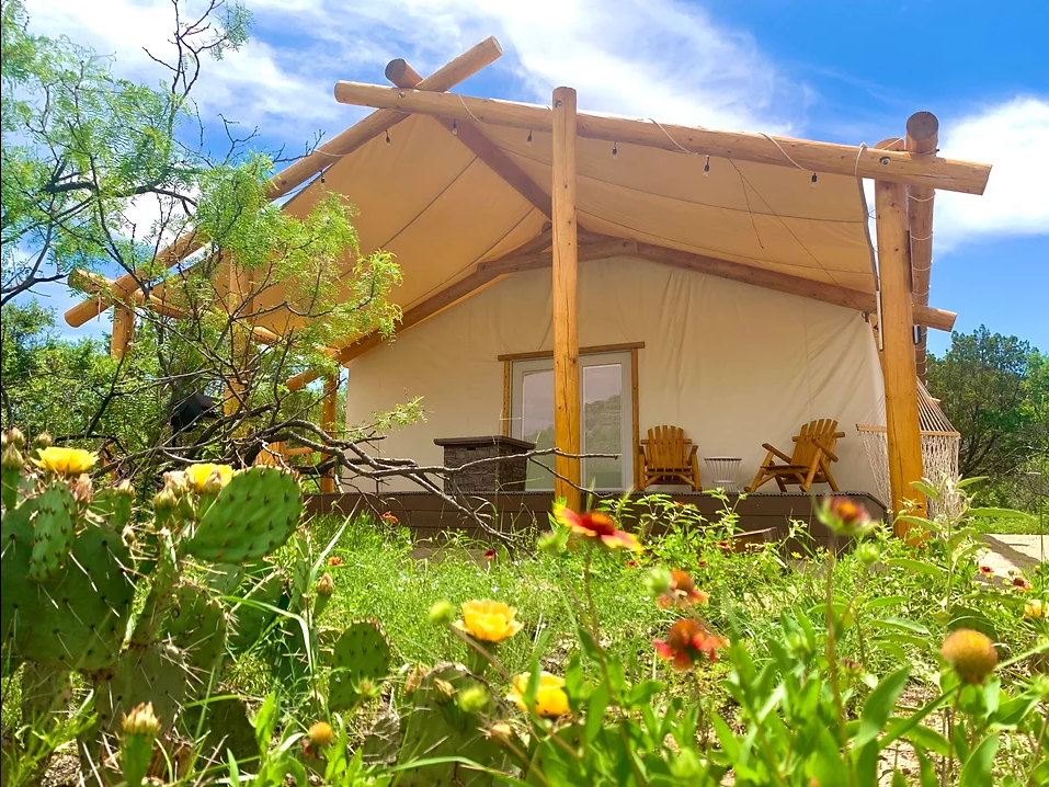 Picture of wildflowers in front of glamorous camping site with modern amenities