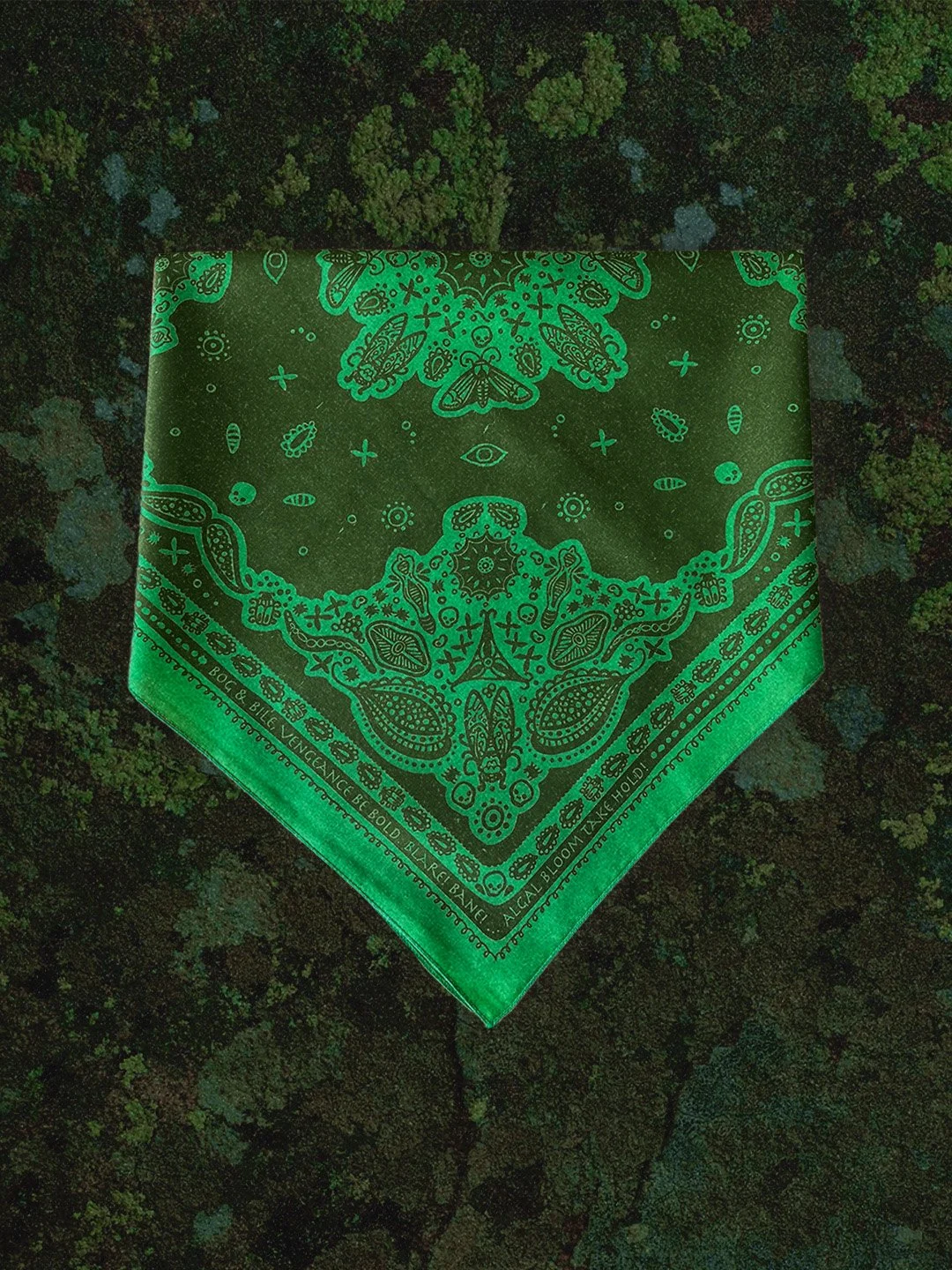 Frog_folded.jpg