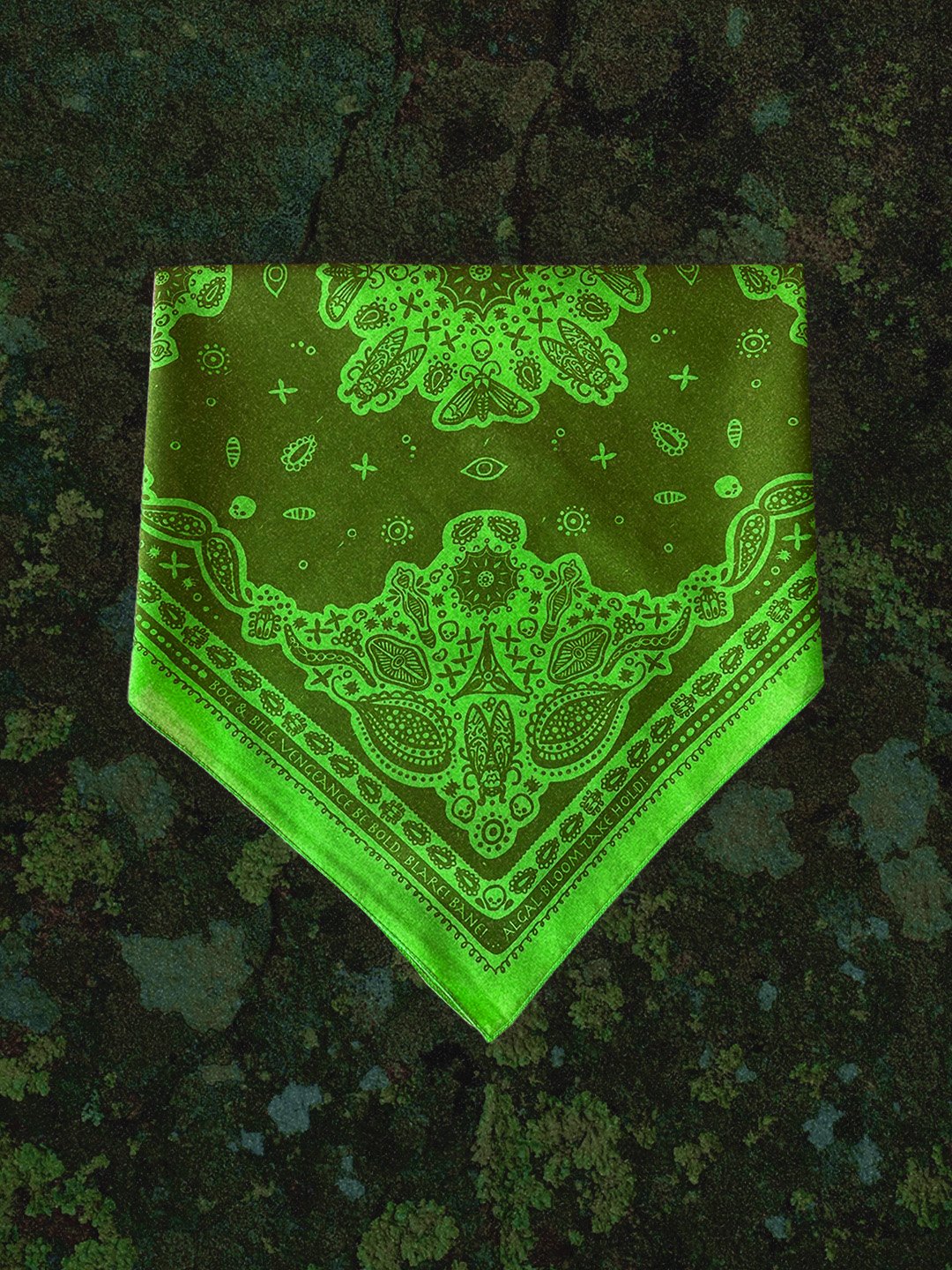 Scum_folded.jpg