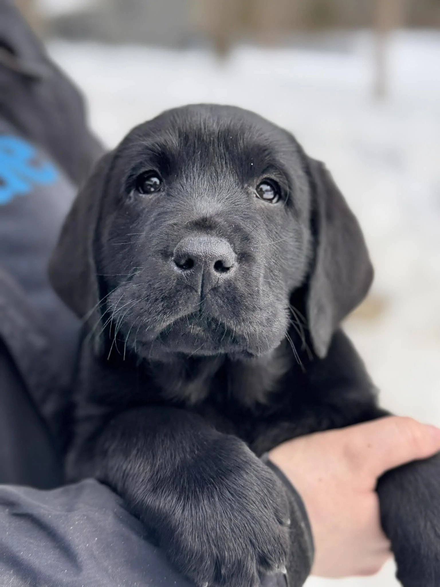 bad40566-14f2-4a46-9387-f08568ec5615.jfif