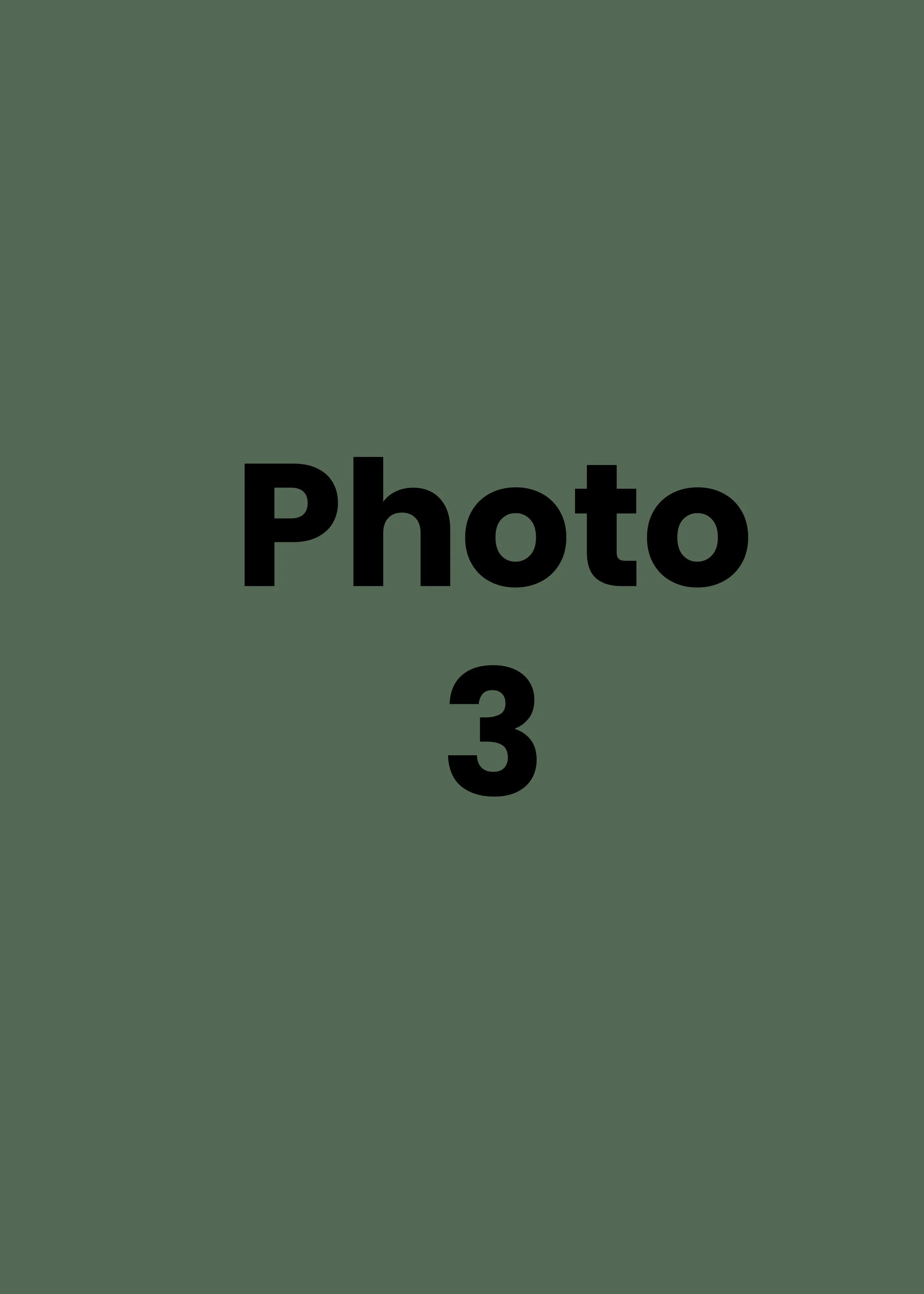 Placeholder image with green background and black text reading 'Photo 3'.
