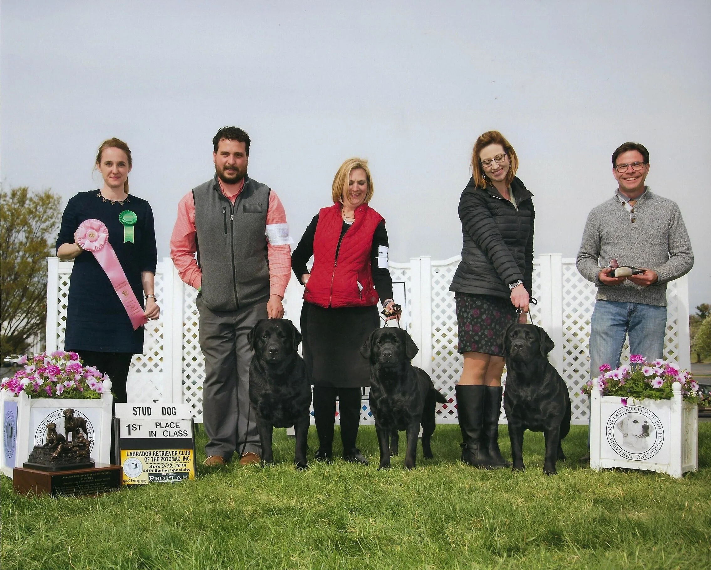 Group of people and Labrador Retrievers at a dog show. The woman on the far left holds ribbons, and a trophy and sign indicate first place in a Labrador Retriever class. The people are standing on grass with a white lattice fence behind them, flowers