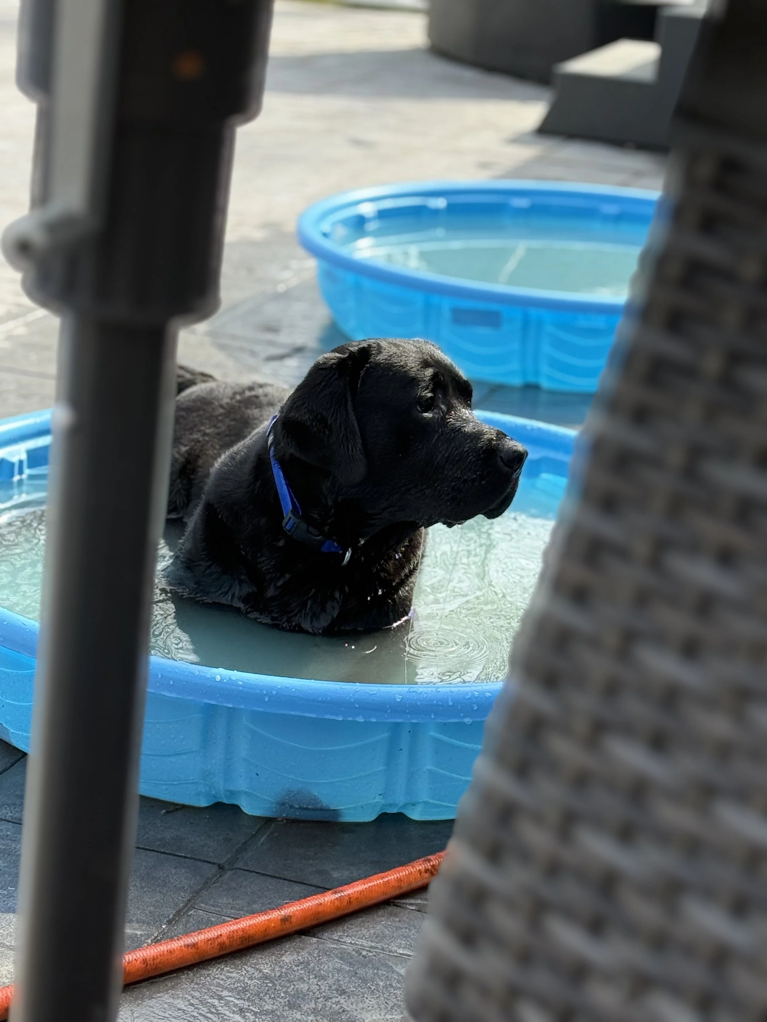 IMG_6477.jpeg