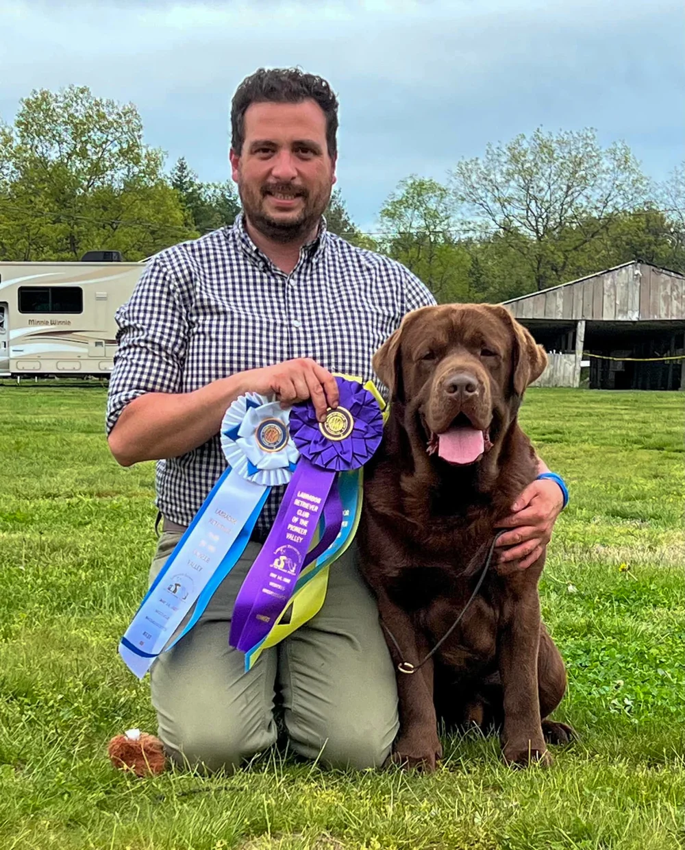 CH Gallivant Joyful Jester Gallivant Chocolate Labrador Stud Dog