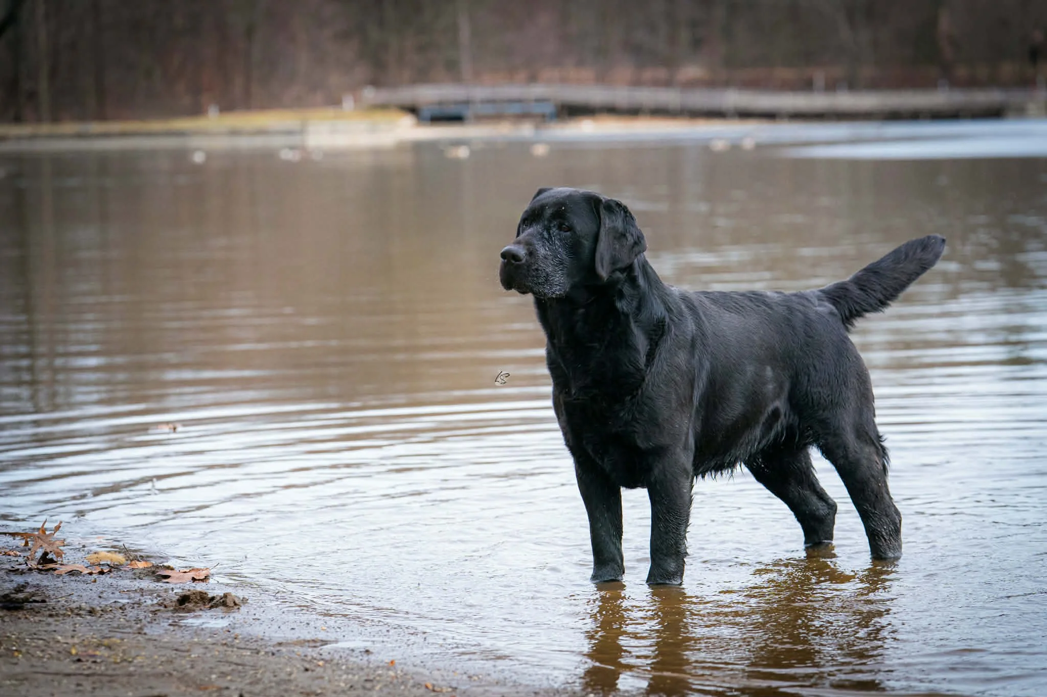 f28cfcfd-a6dd-4f4d-85dd-a38113194495.jfif