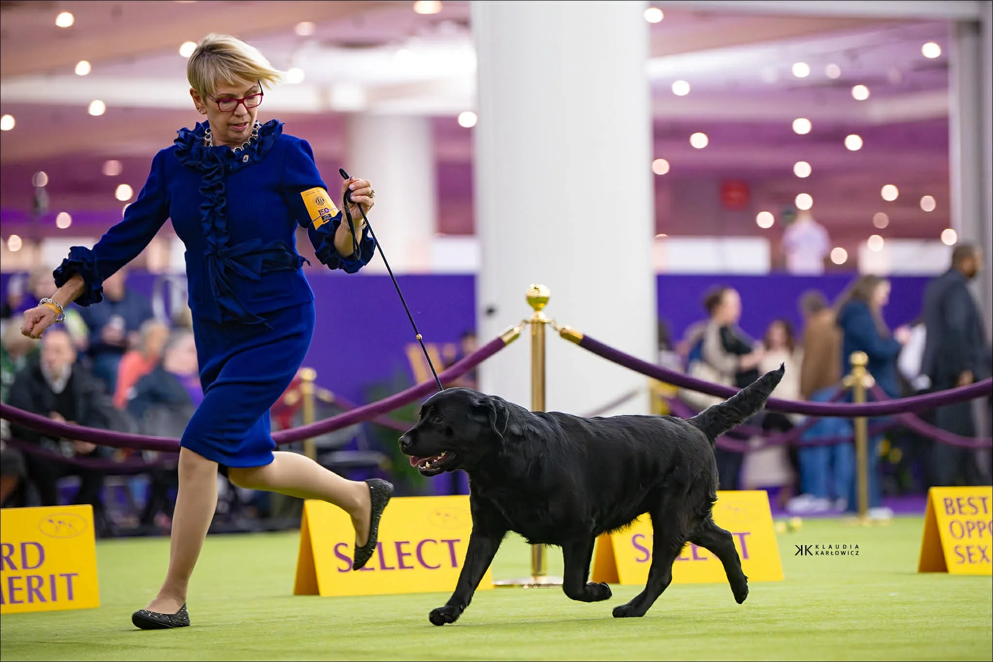 f556a41c-2f27-4d8b-b43e-5c2eb08483f6.jfif