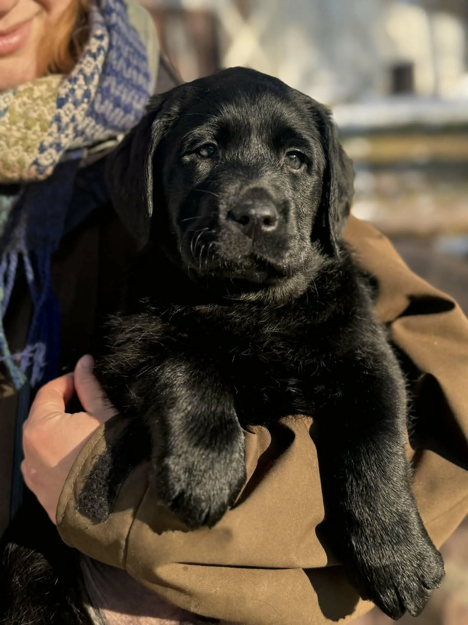 33520817-6c94-4bf0-913e-23a7ff7b4b88 (1).jpg