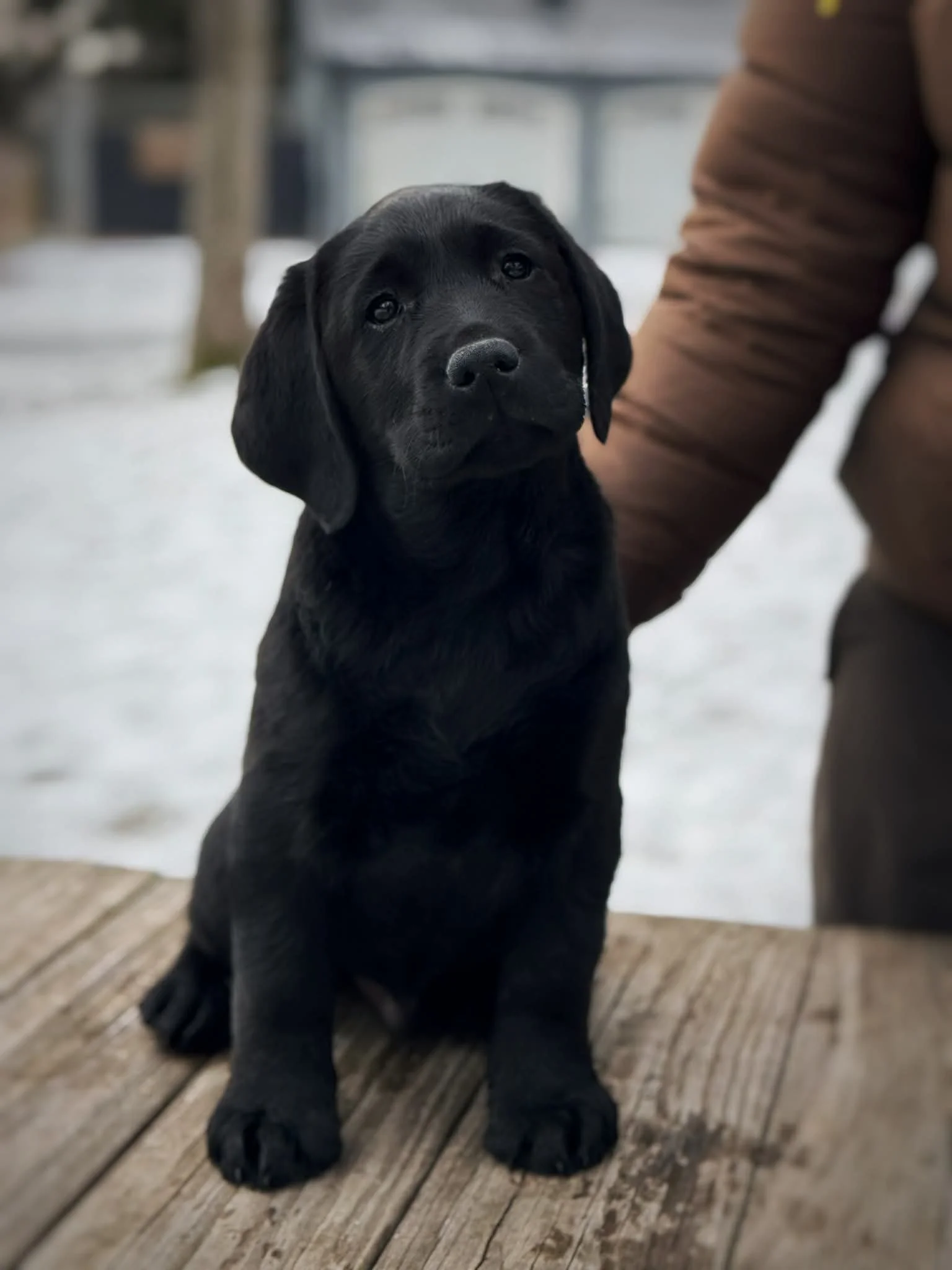 1a341b56-4f47-407d-b2b7-82c7bd03b929.jfif