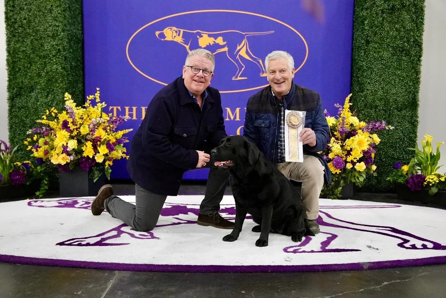 Two men with a black labrador pose in front of a purple and gold logo background at The American Kennel Club event, with colorful floral arrangements surrounding them. One man kneels holding the dog while the other holds an award.