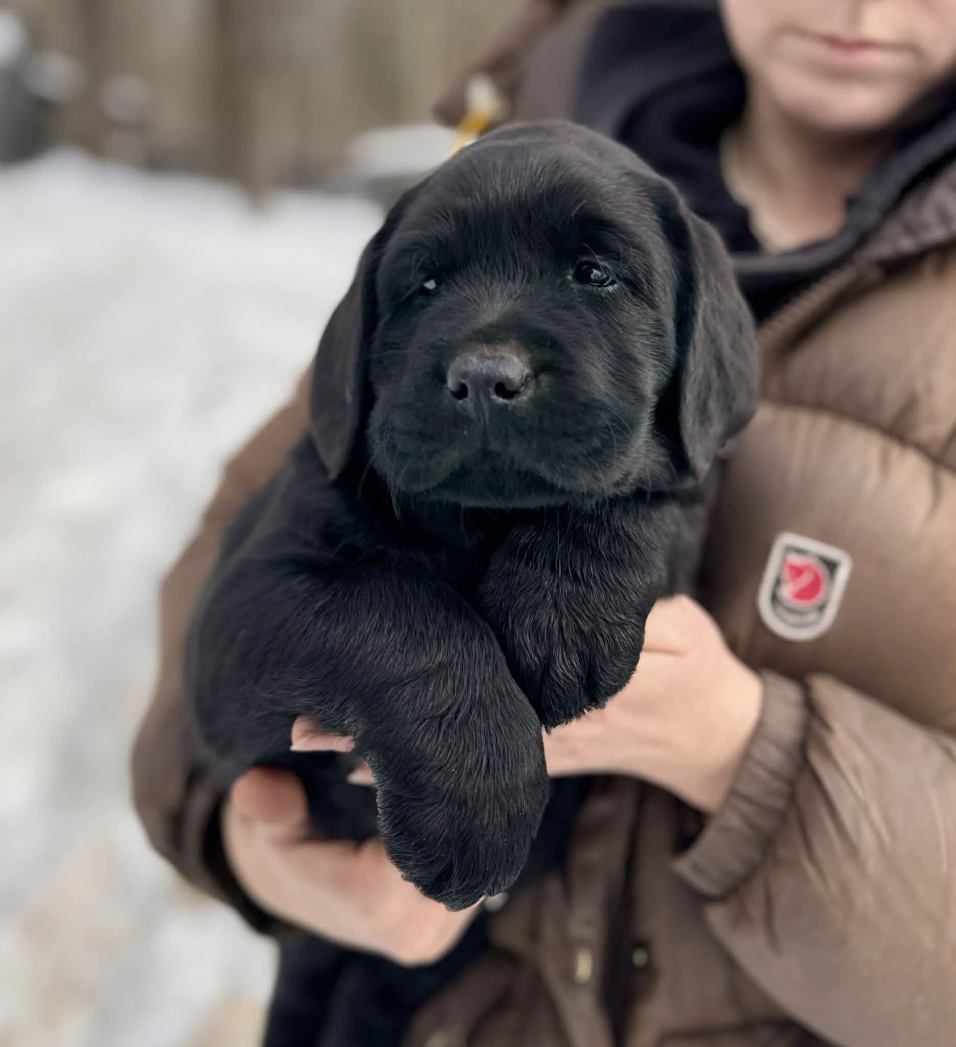 265a2dd3-607a-4010-9a28-960ecedd5bd3.jfif