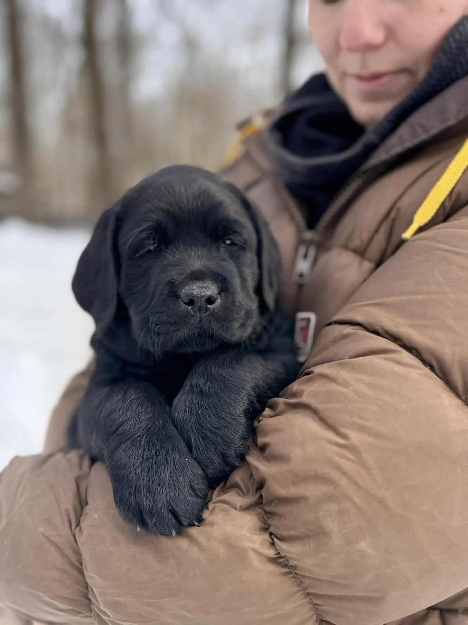 9f567f32-536e-497a-b222-233b2c350122.jfif