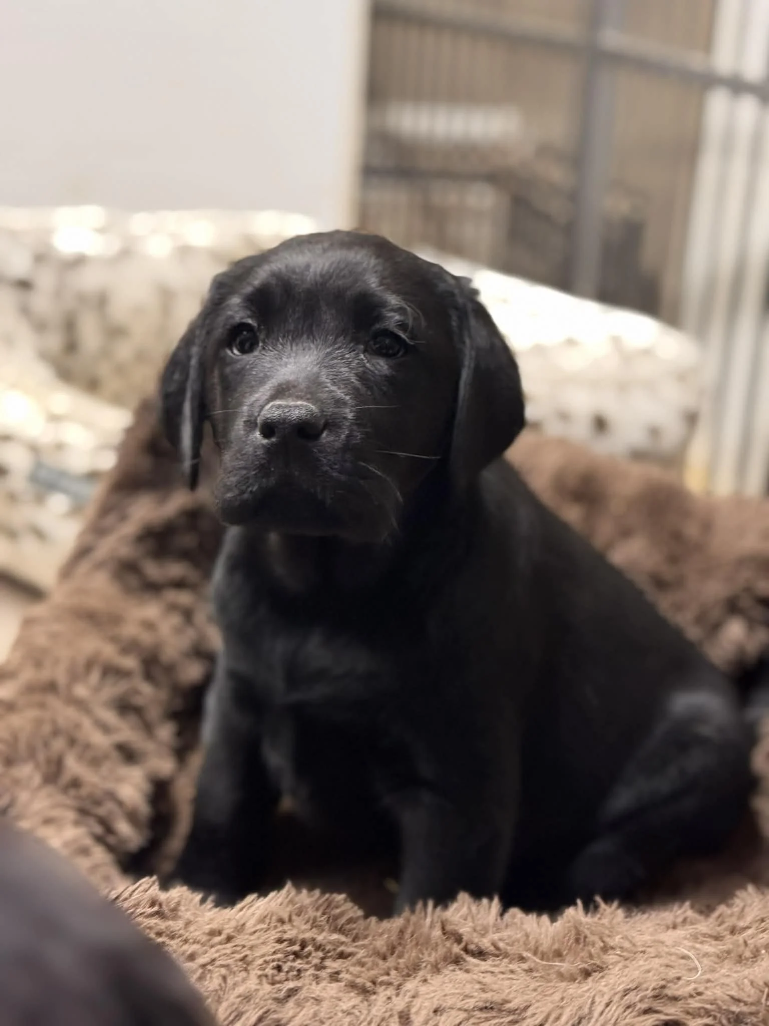 1c0f1a19-83eb-4478-ac23-1d208ea2ac83 (1).jfif