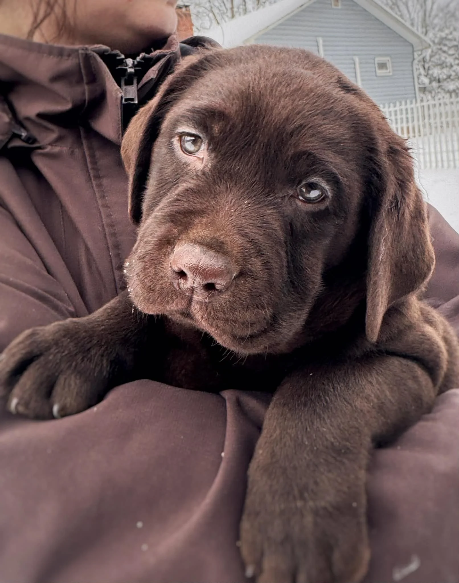 0d008c1e-62fa-4b63-b72c-fe75b6973480.jfif