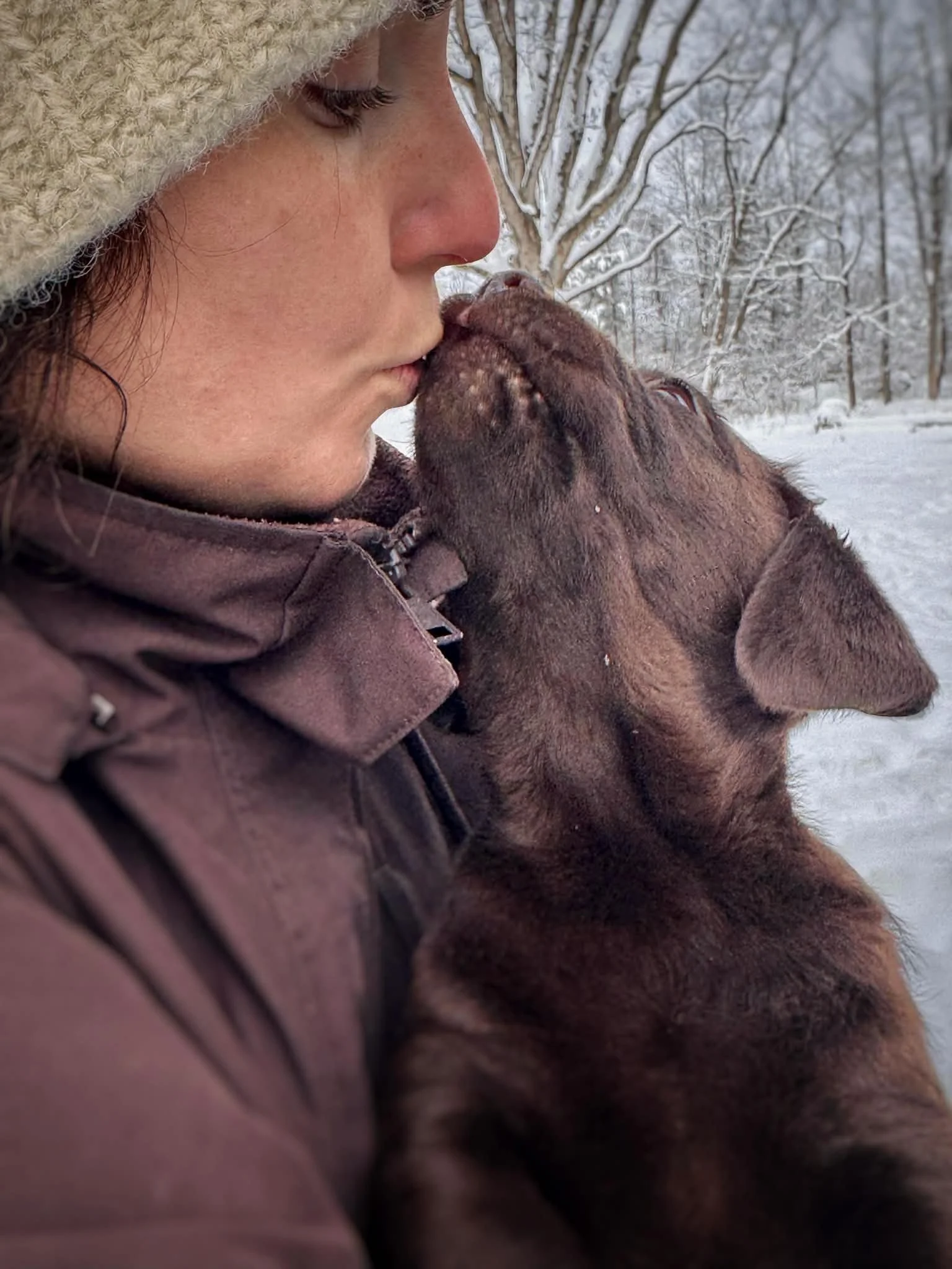 1d1f10cb-60d6-476e-b086-dc4b71fa283d.jfif