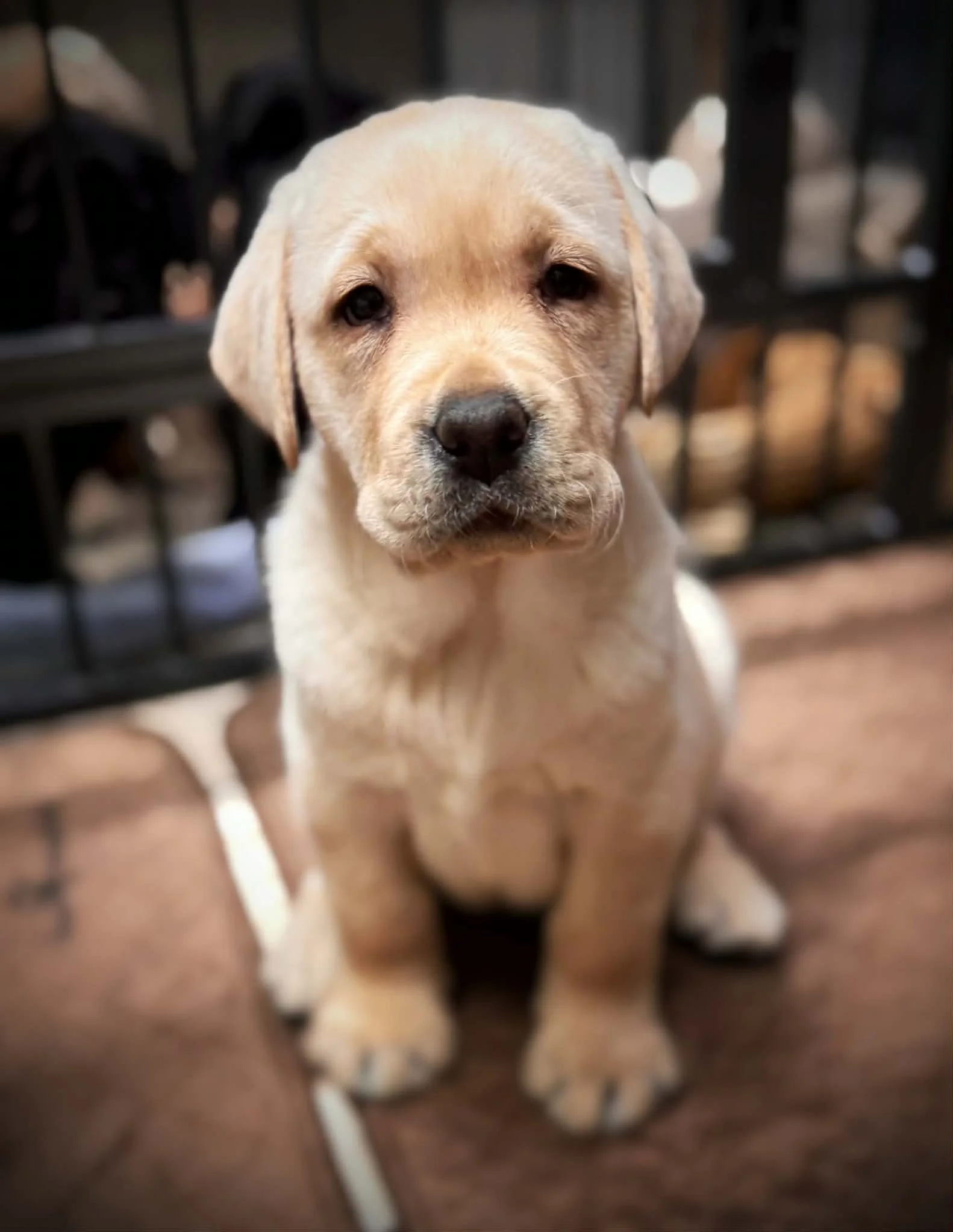 ccf8c10d-6dd8-46c2-bb7d-02b27a8f883a.jfif