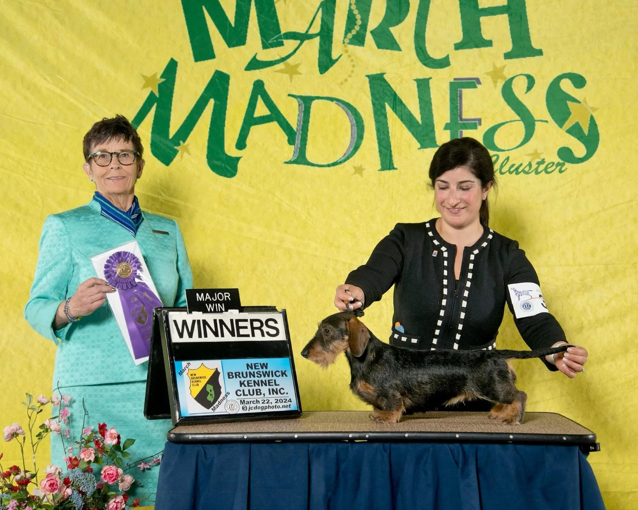 A woman in a black outfit is holding a small black and tan dog on a table, with a background that reads 'March Madness.' Another woman in a teal suit is holding a purple ribbon and standing next to a sign from the New Brunswick Kennel Club, Inc. celebrating a dog's win on March 22, 2024.