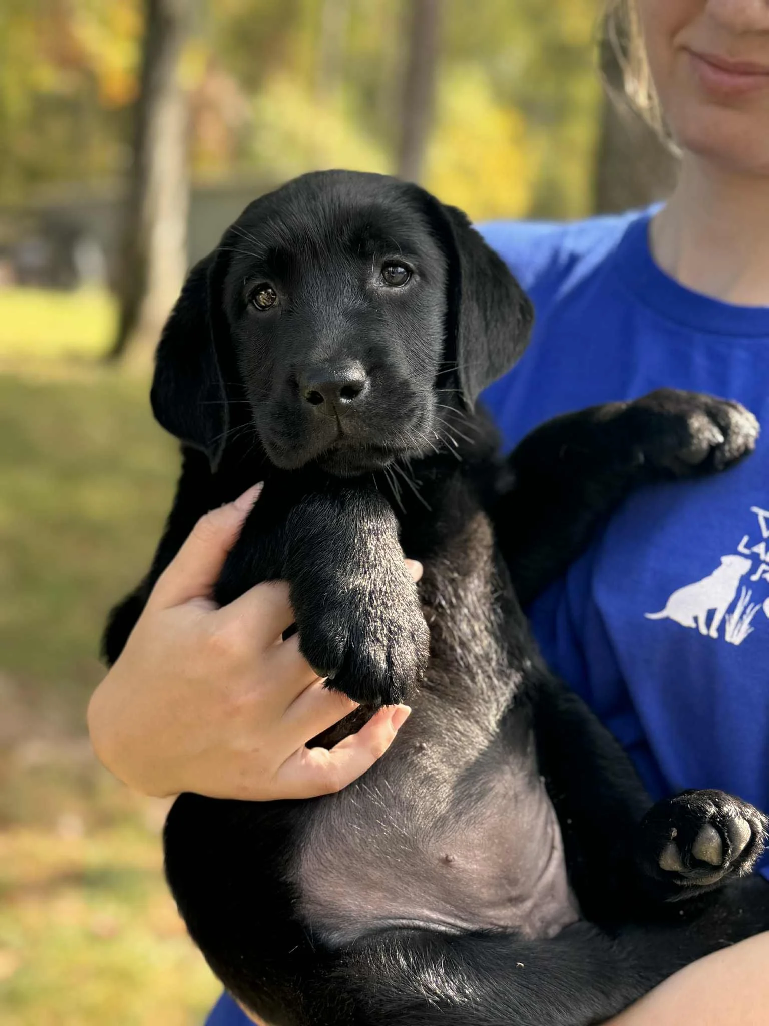 1000001624_691bfd8b1f1b8711a85d9de17b29b918-26.9.2025, 12.19.20 (1).jpg