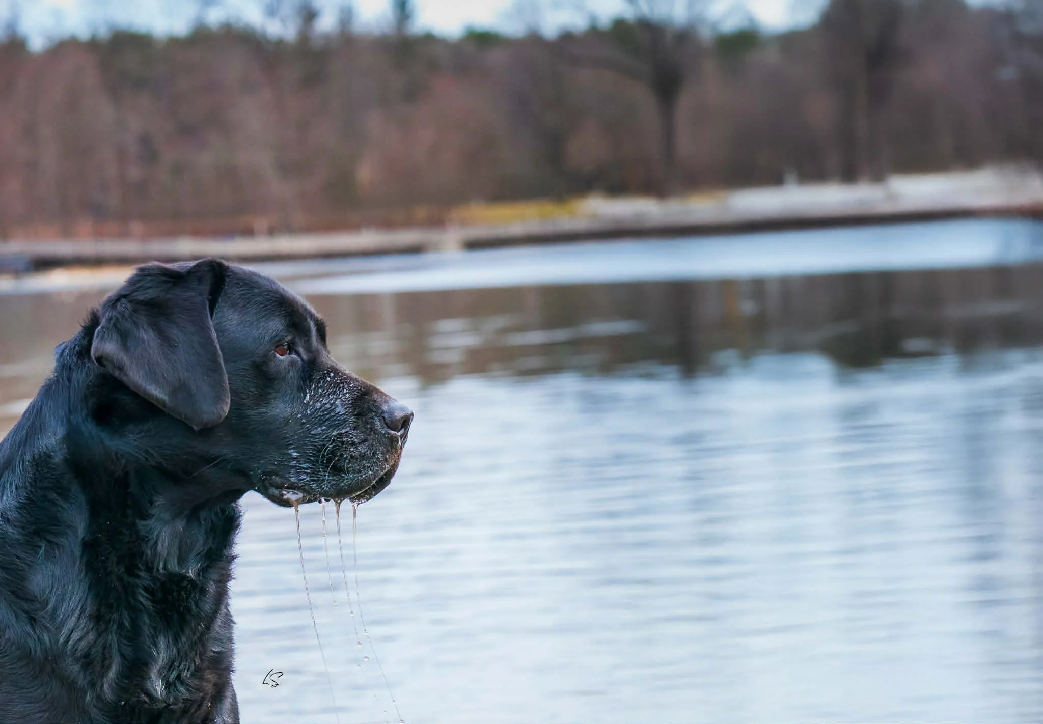 cdf644f4-63bb-4456-b3cc-3da6b2f74f37.jfif