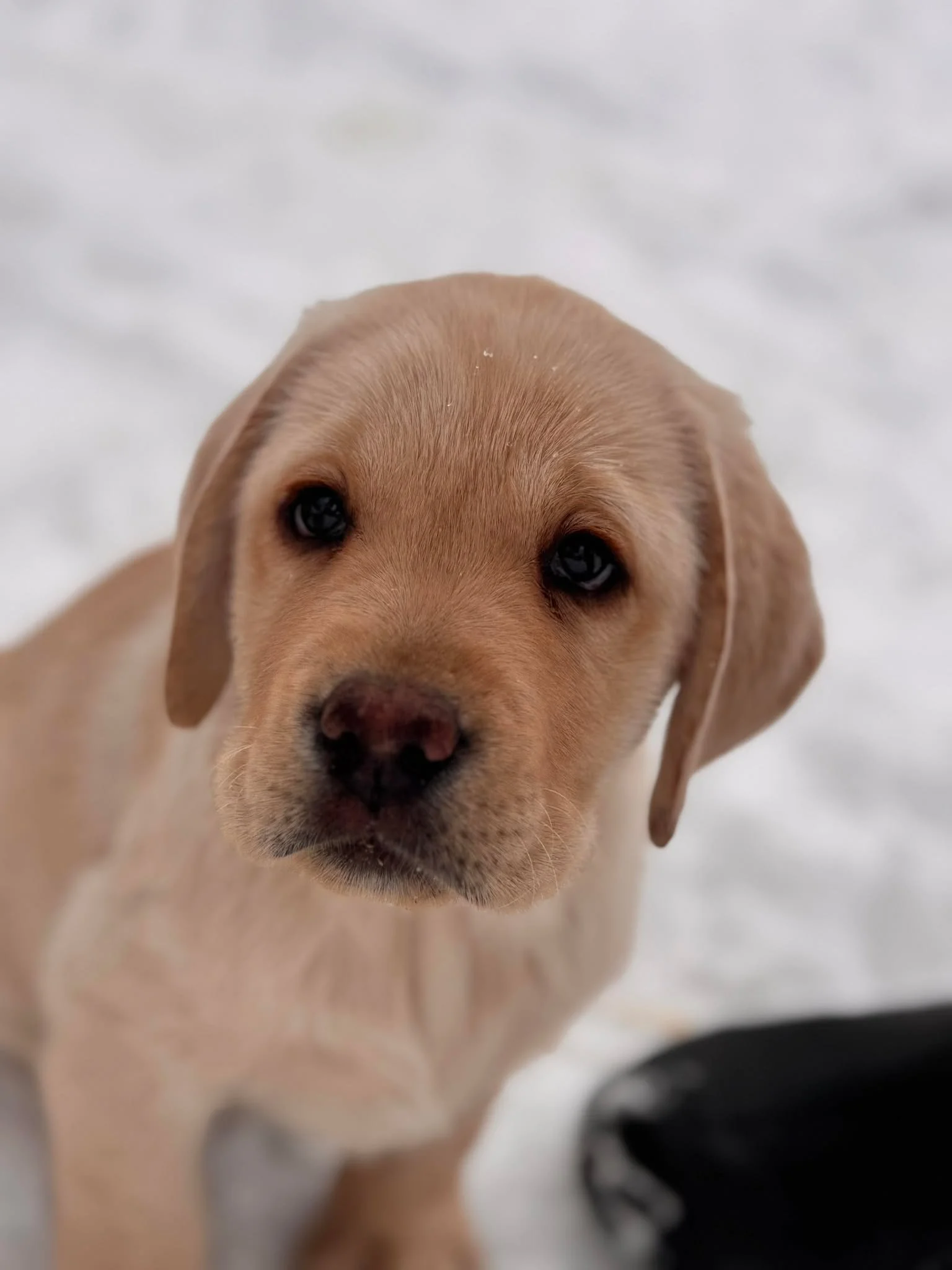 627382843_1420473053190690_8100300003163302409_n (1).jpg