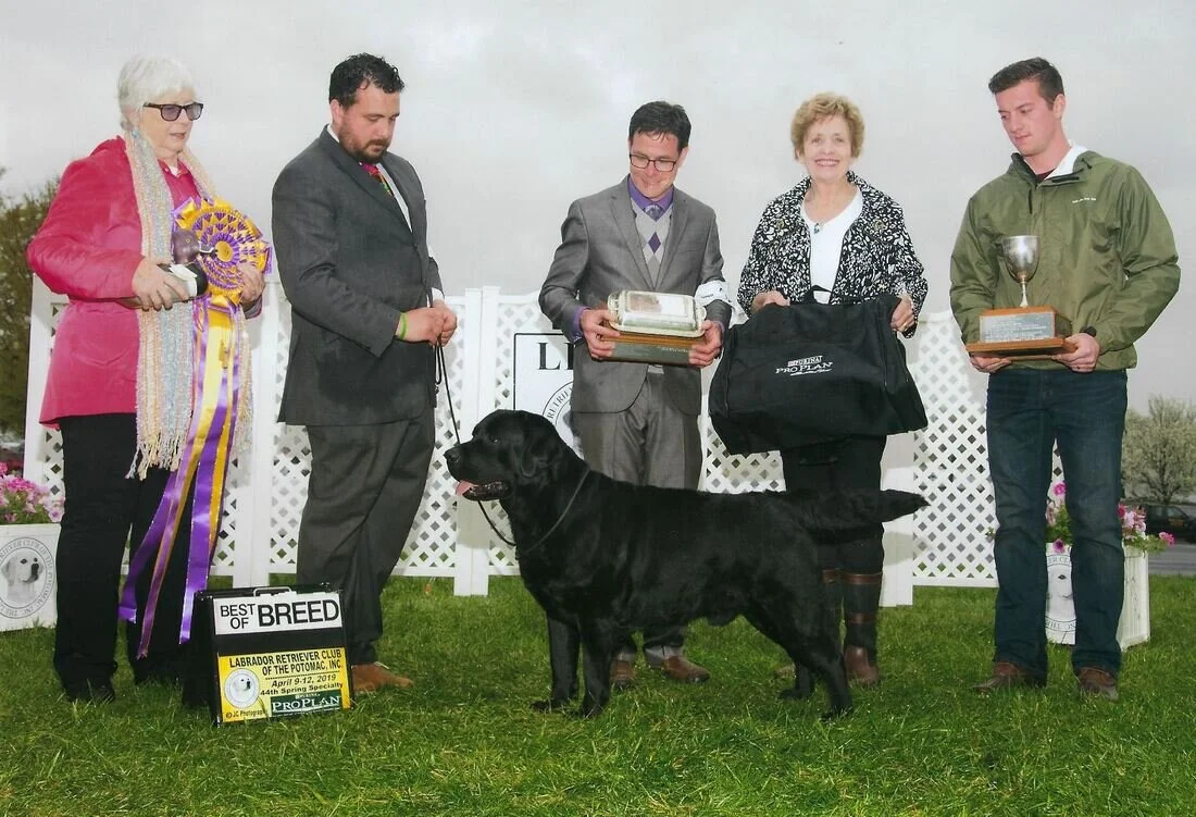 Group of five people standing outdoors with a Labrador retriever dog. Some people are holding trophies and ribbons from a dog competition. The dog appears to be the winner.