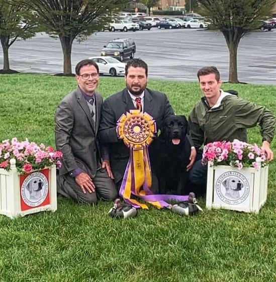 Three men in suits and casual clothing sit on grass with a black Labrador dog, surrounded by pink flowers and trophies, with cars and trees in the background.