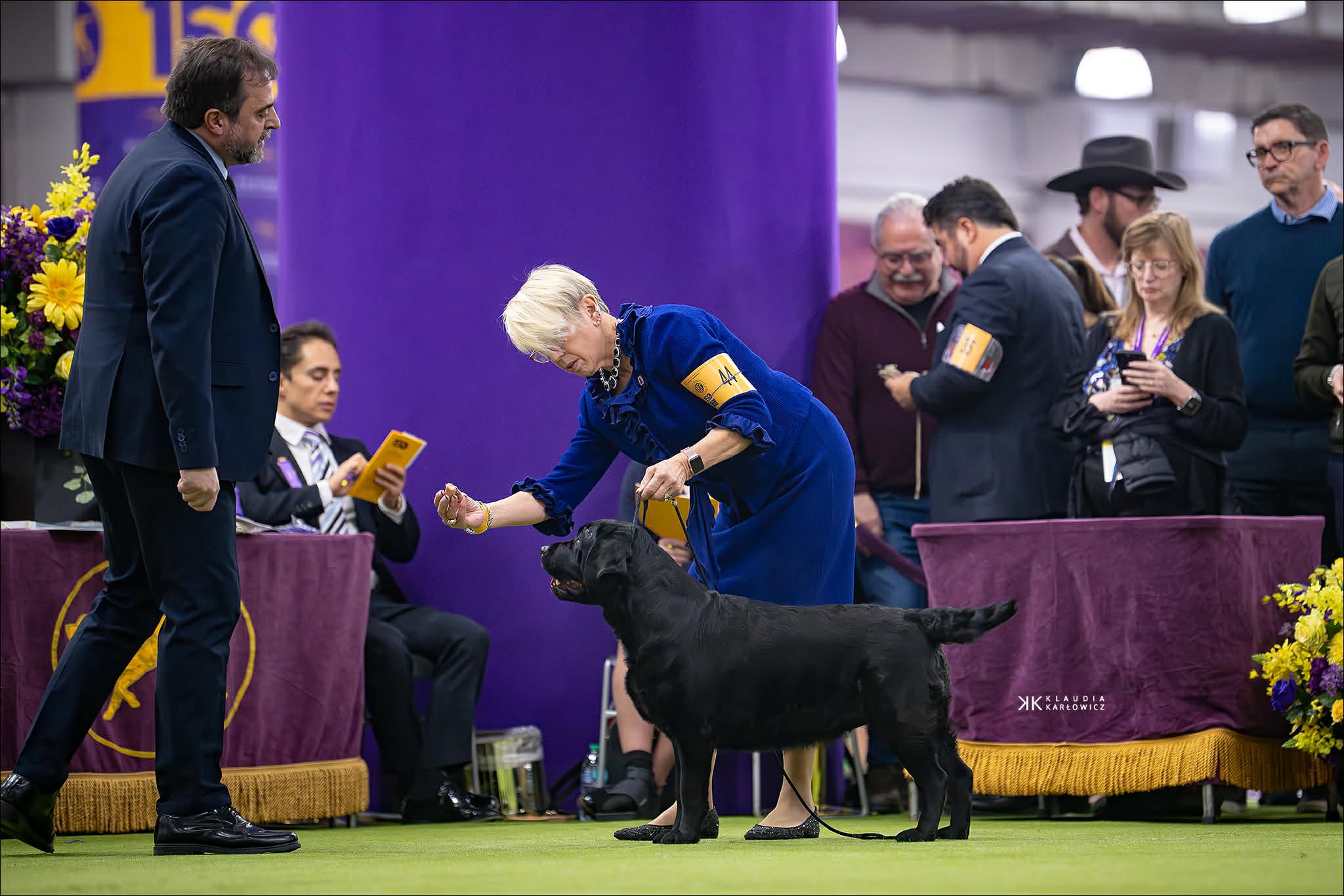 03512ee5-f6c3-4249-b2e5-04db15b2276b.jfif