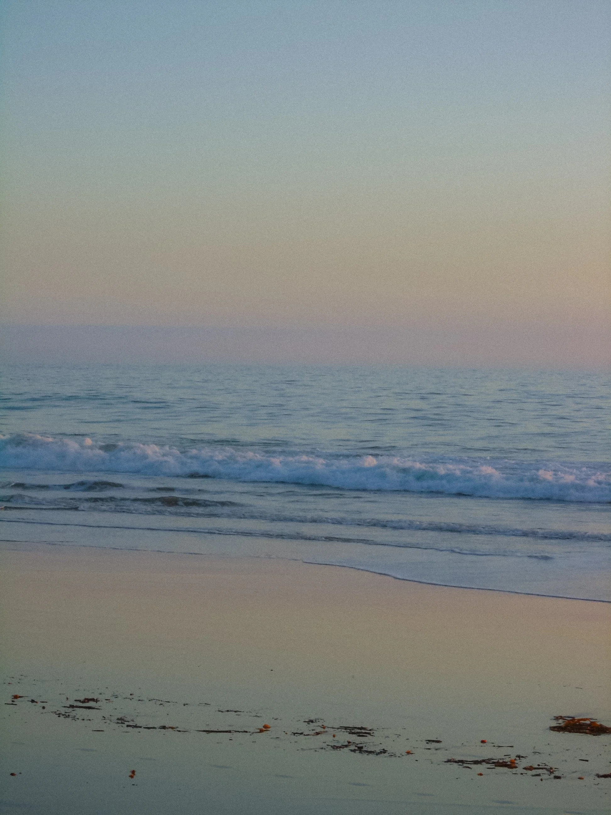 DSC00573.JPG
