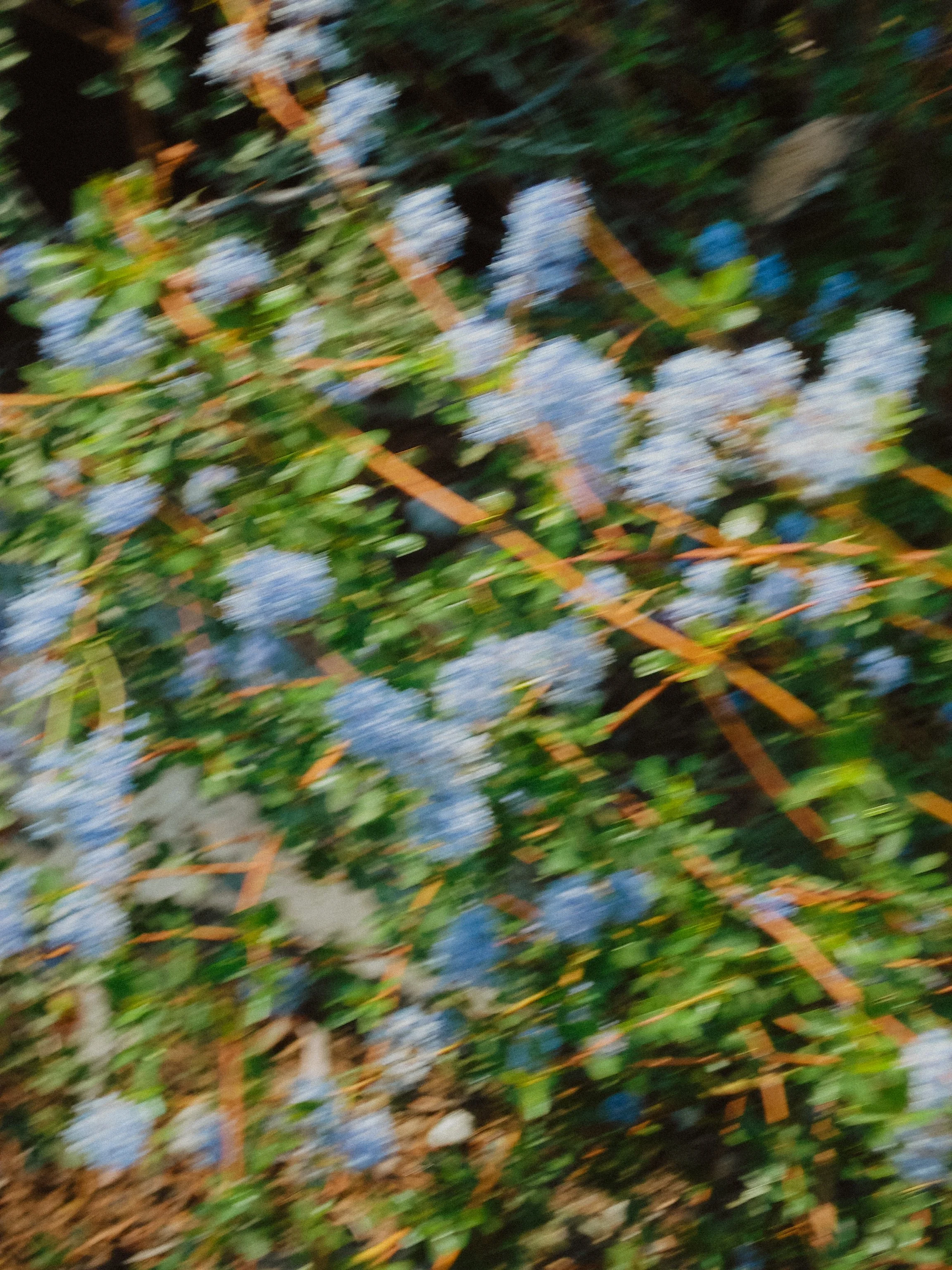 DSC01183.JPG