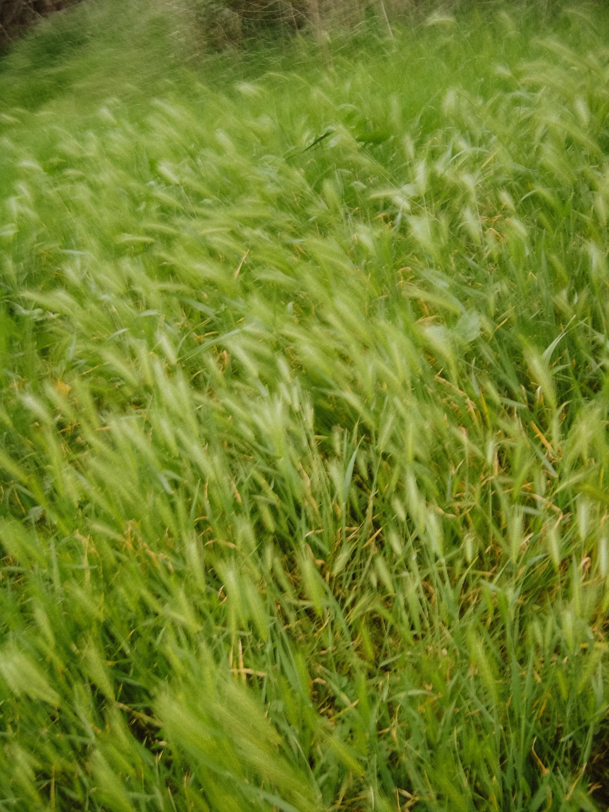 DSC00671.JPG