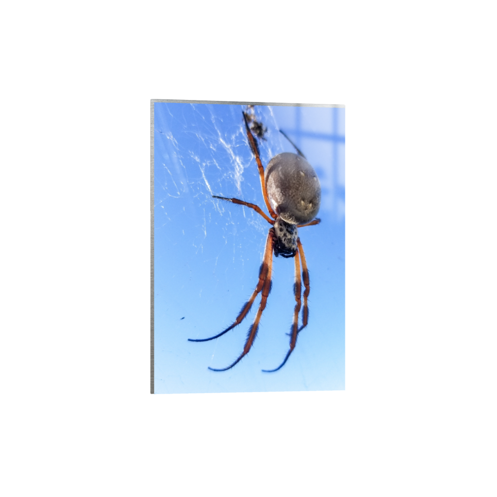 ptq_13_3_5_374_2268_3402_0_false_ffffff_0_0_.png