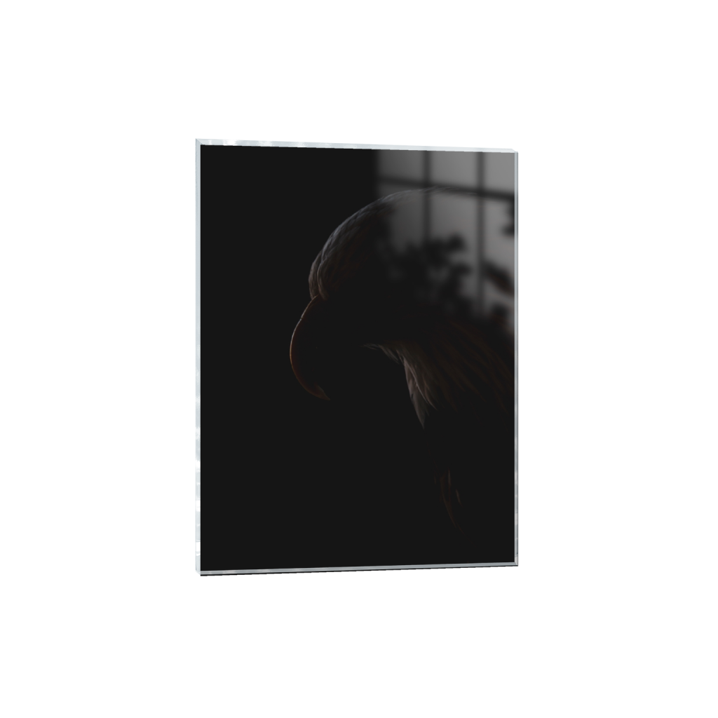ptq_17_5_0_359_3166_4221_0_false_ffffff_0_0_.png