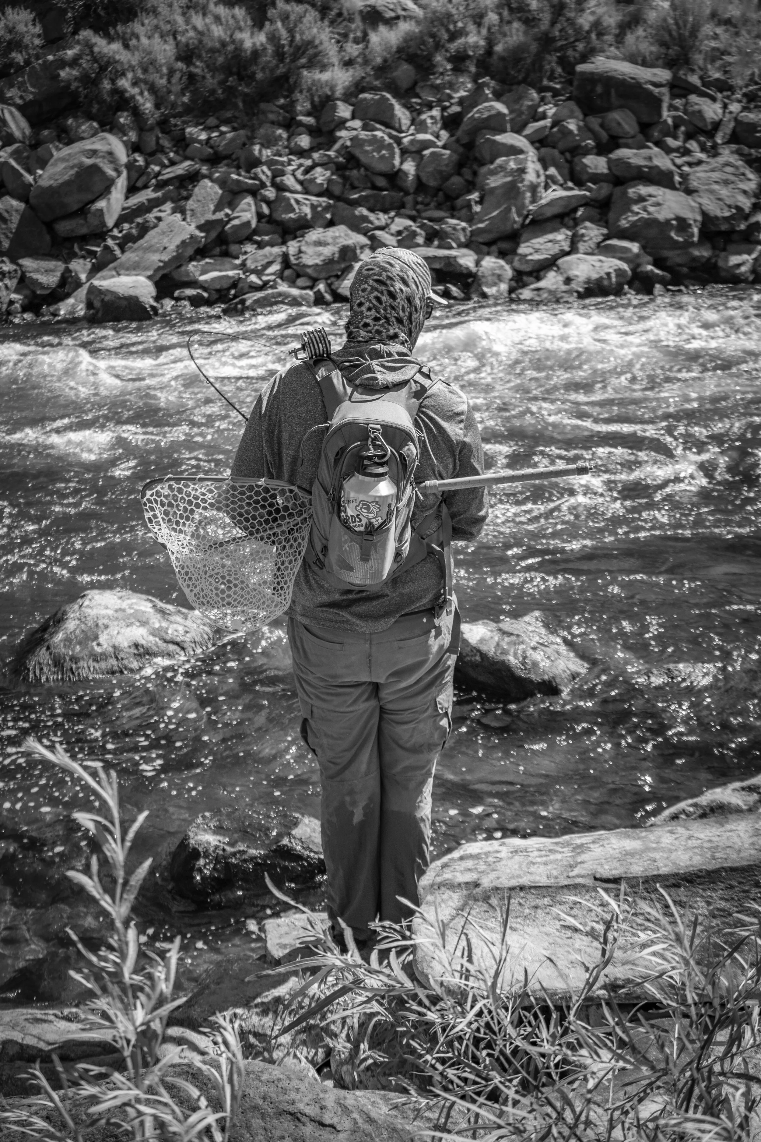 _MG_3273.jpg