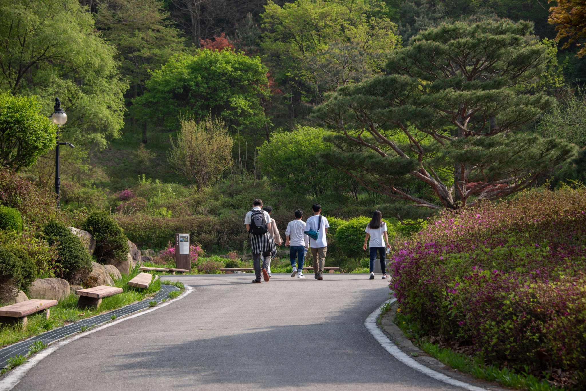 Blue Dragon Pilgrimage-April 19-39.jpg