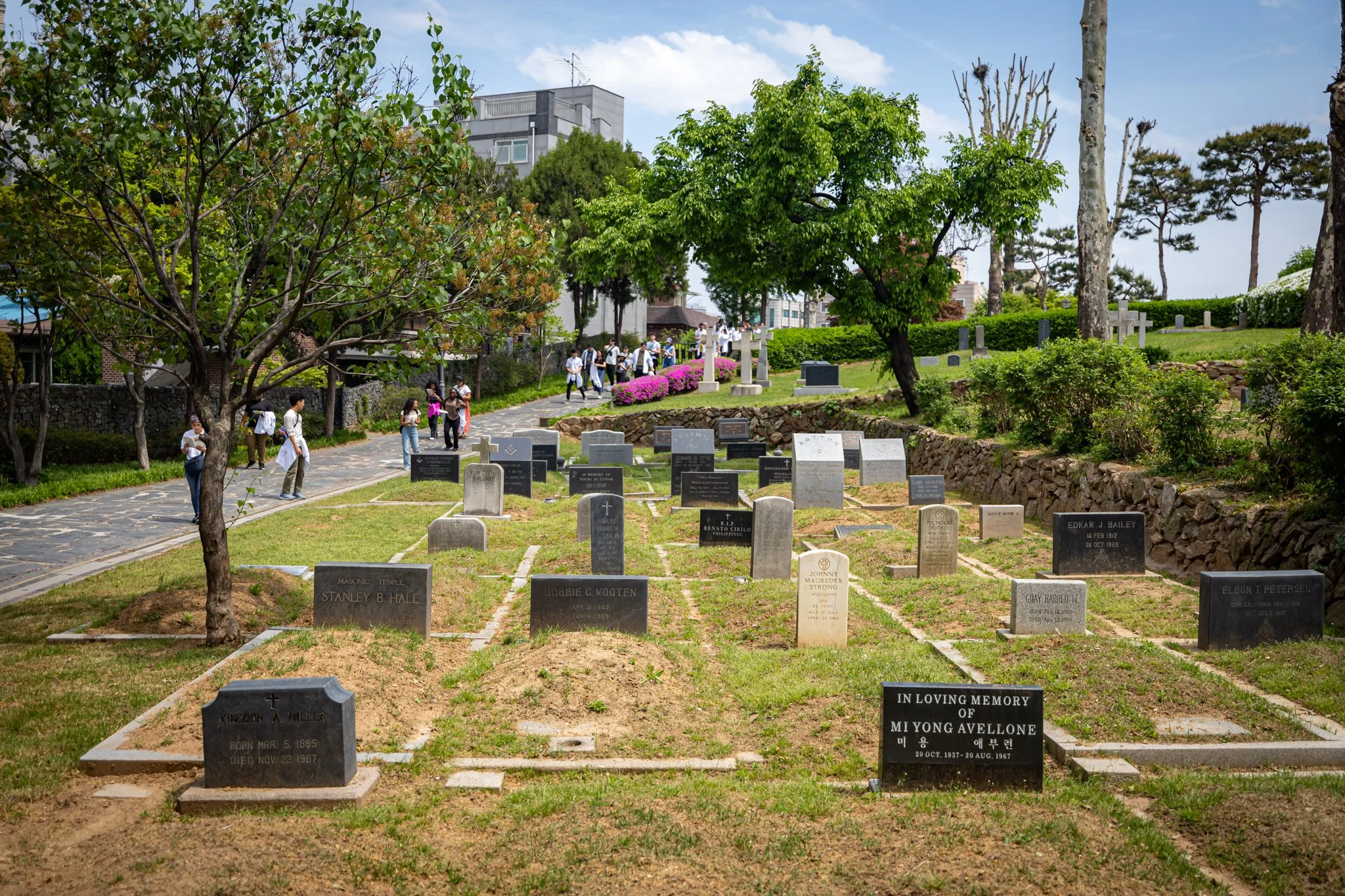BDP 2024-04223-131.jpg
